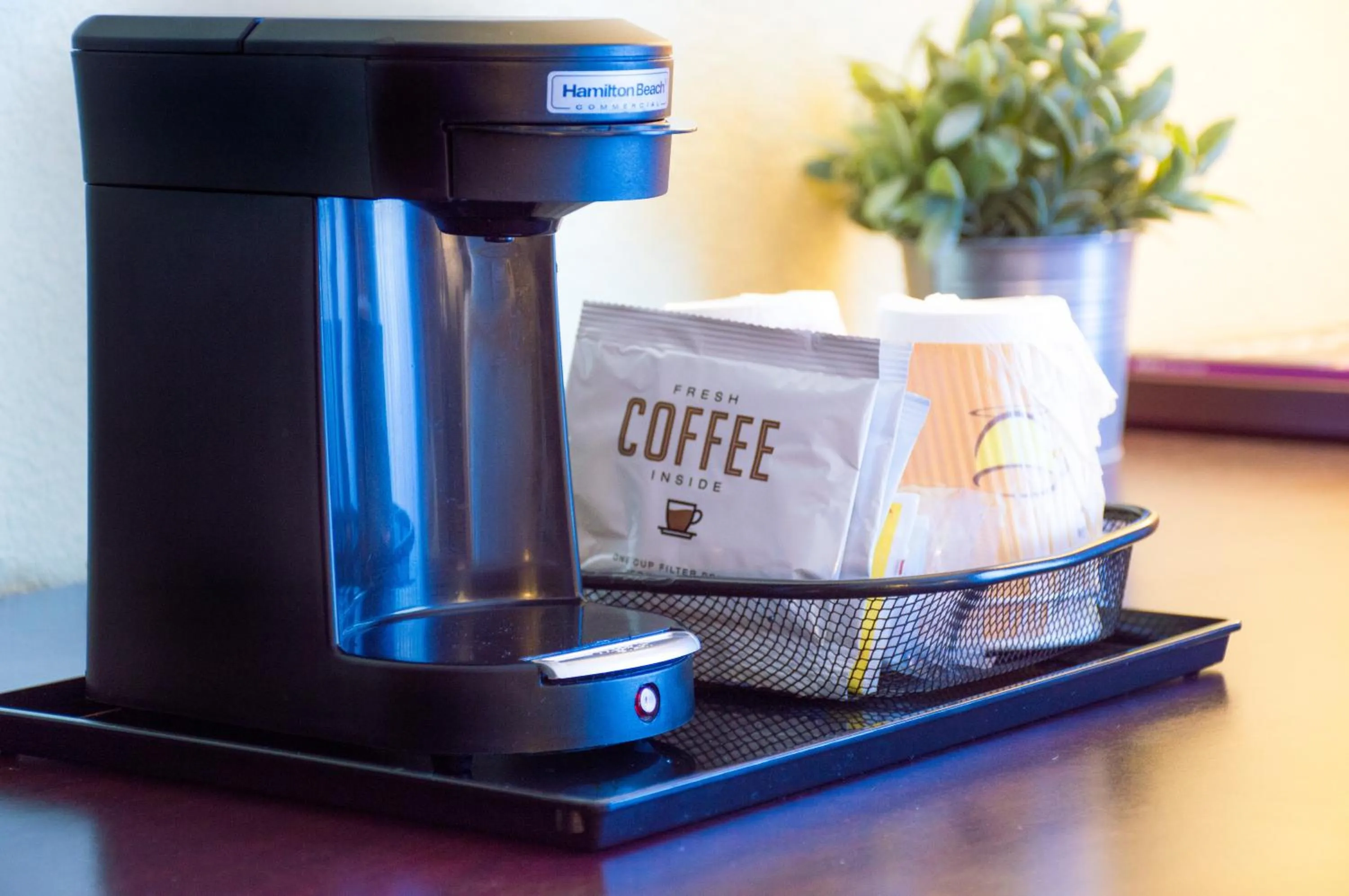 Decorative detail in The Barrymore Hotel Tampa Riverwalk