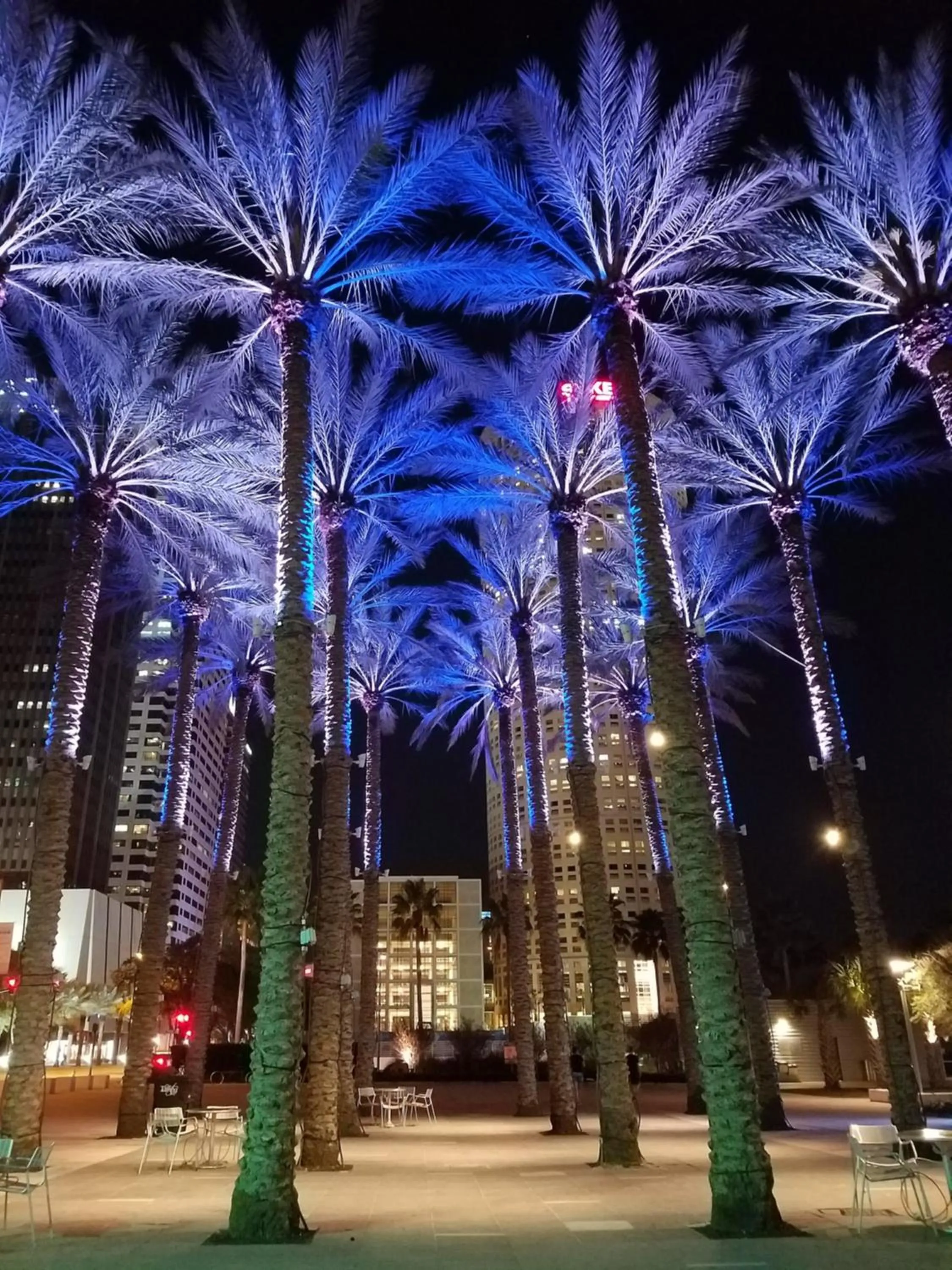 Nearby landmark in The Barrymore Hotel Tampa Riverwalk