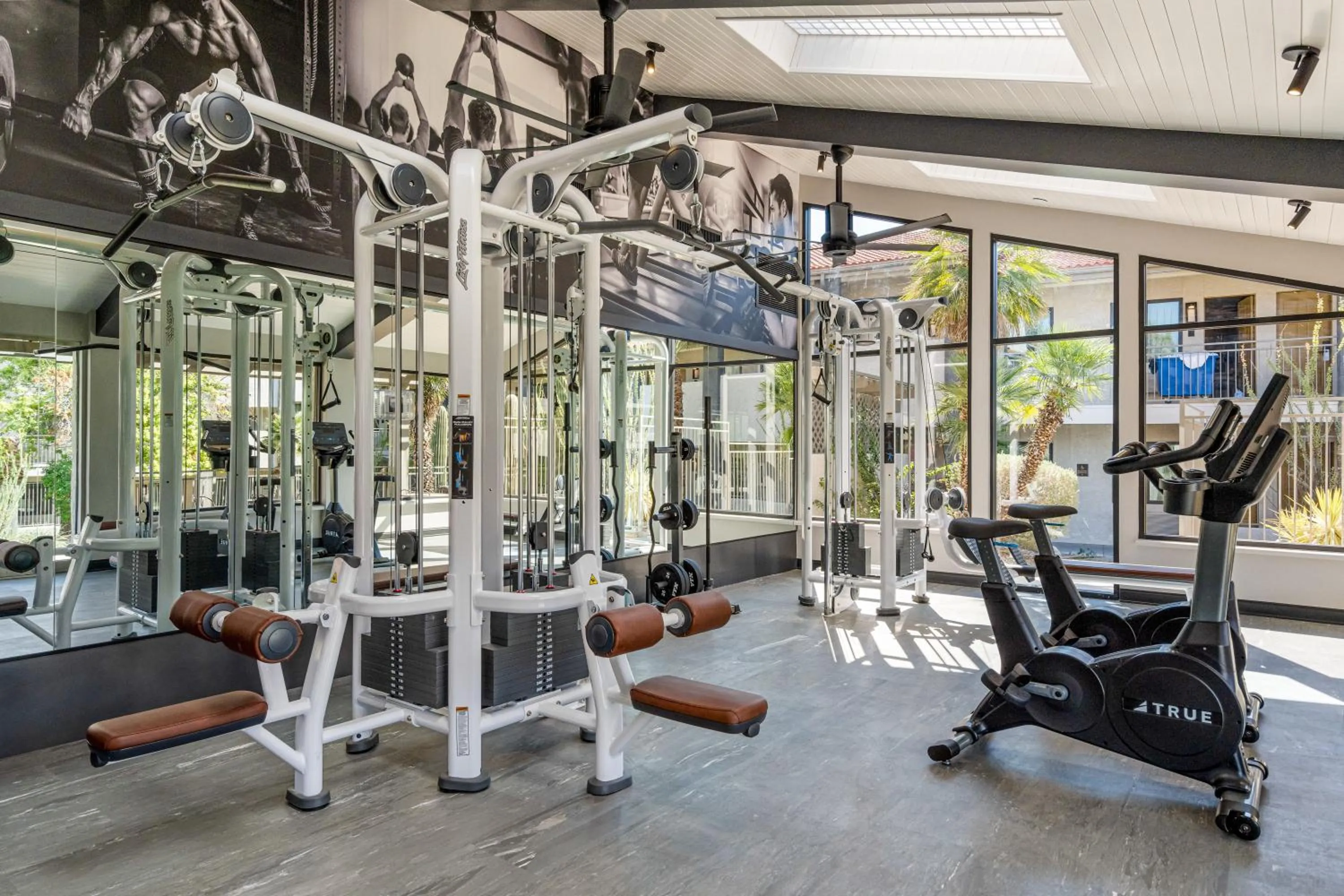 Fitness centre/facilities in 3 Palms Tucson North Foothills