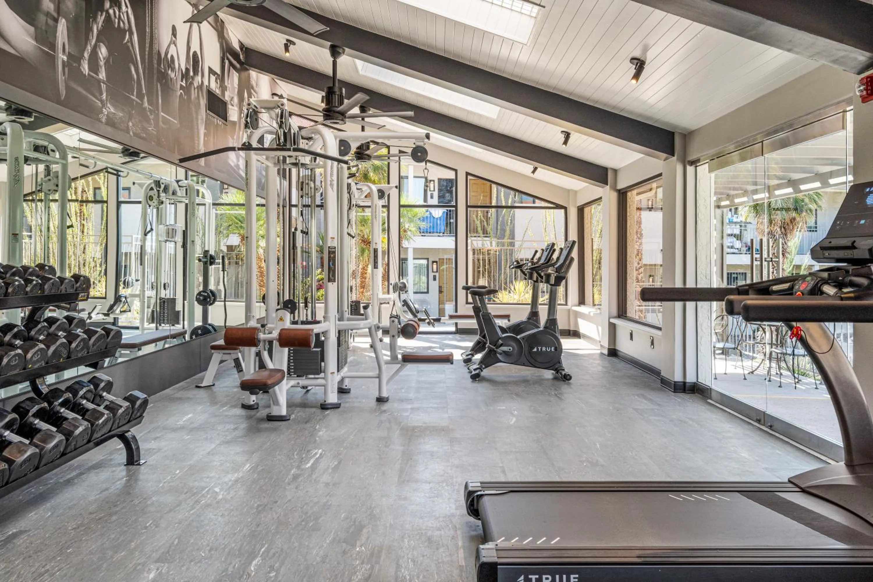 Fitness centre/facilities in 3 Palms Tucson North Foothills