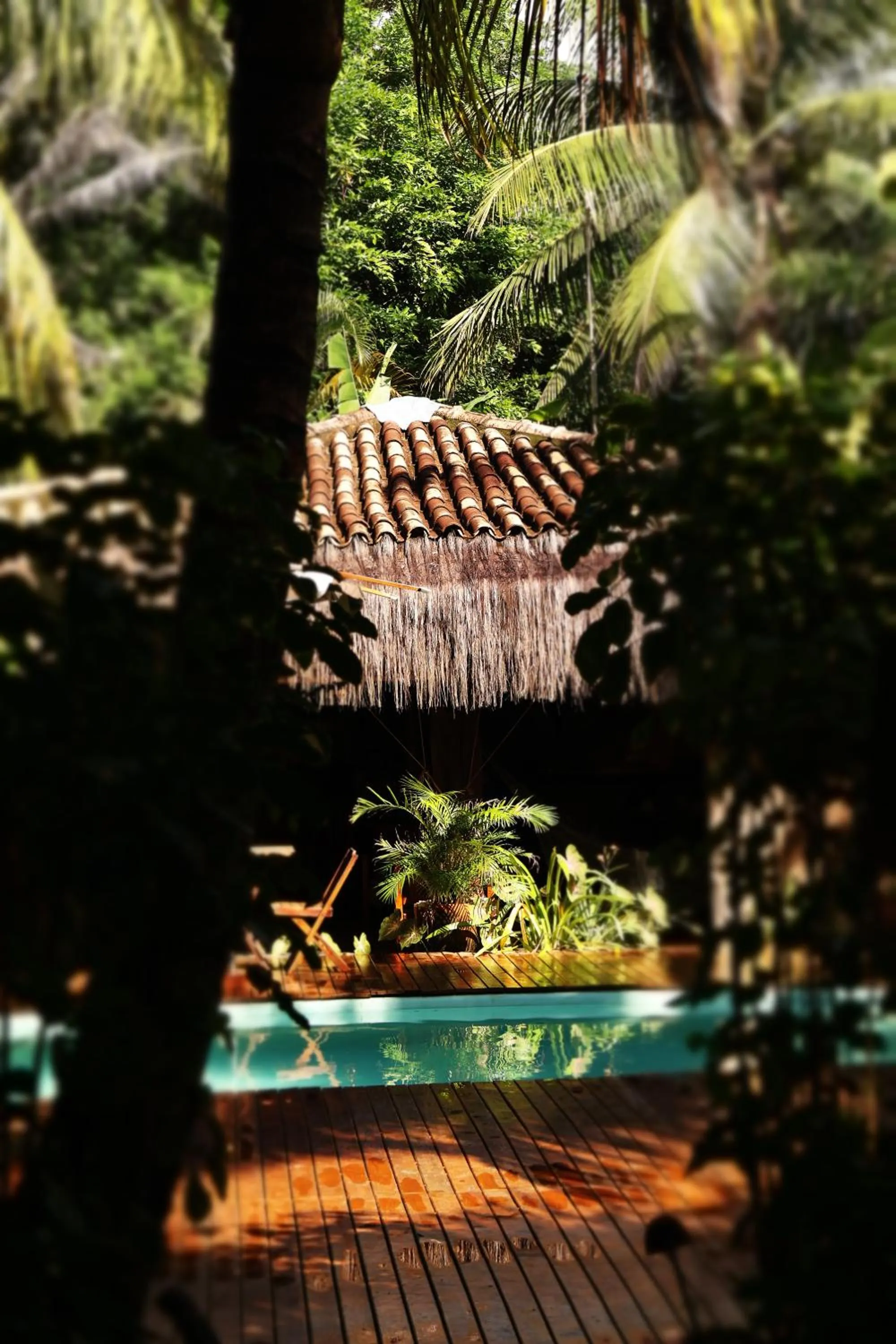 Na Villa dos Algodões