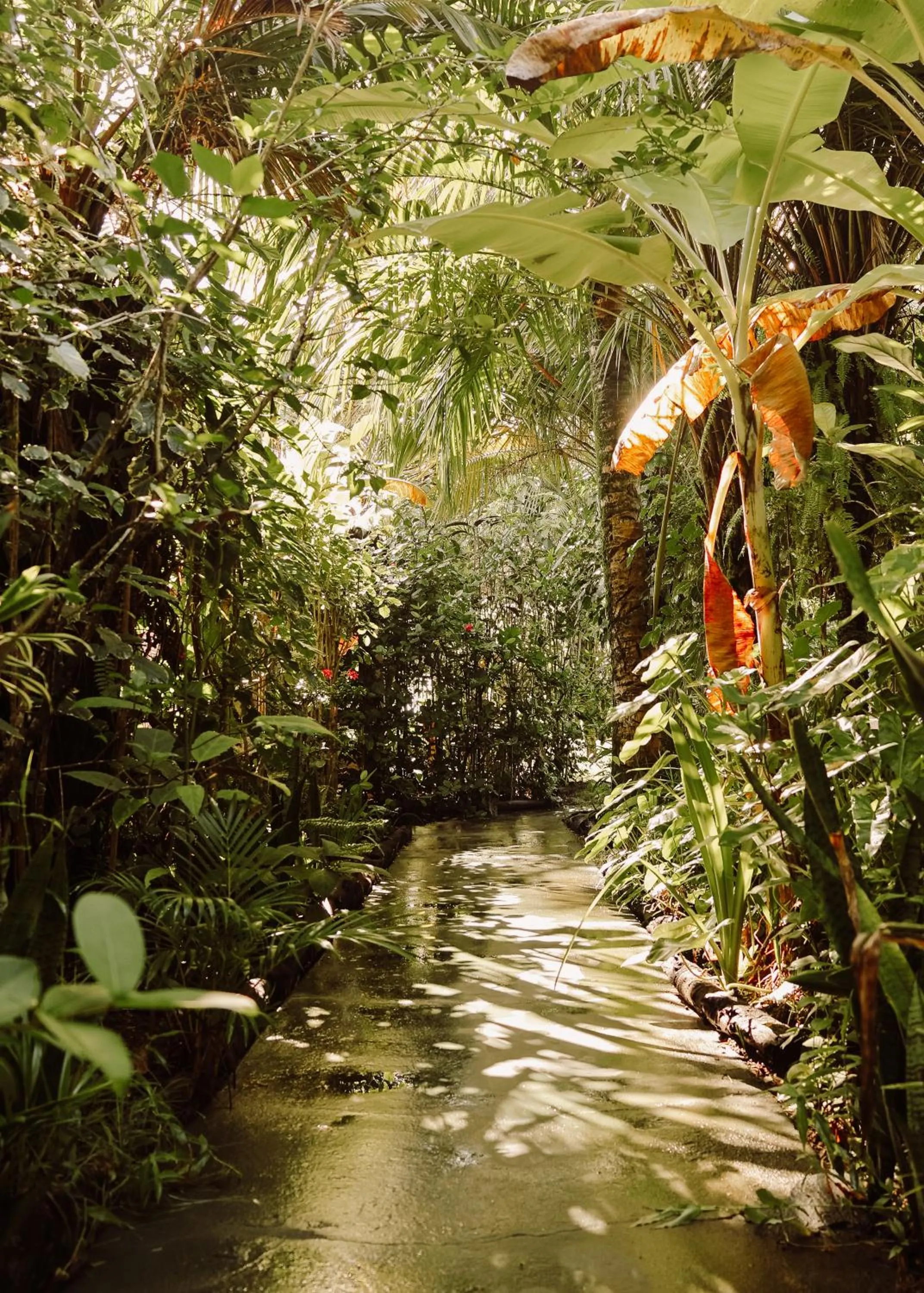 Na Villa dos Algodões