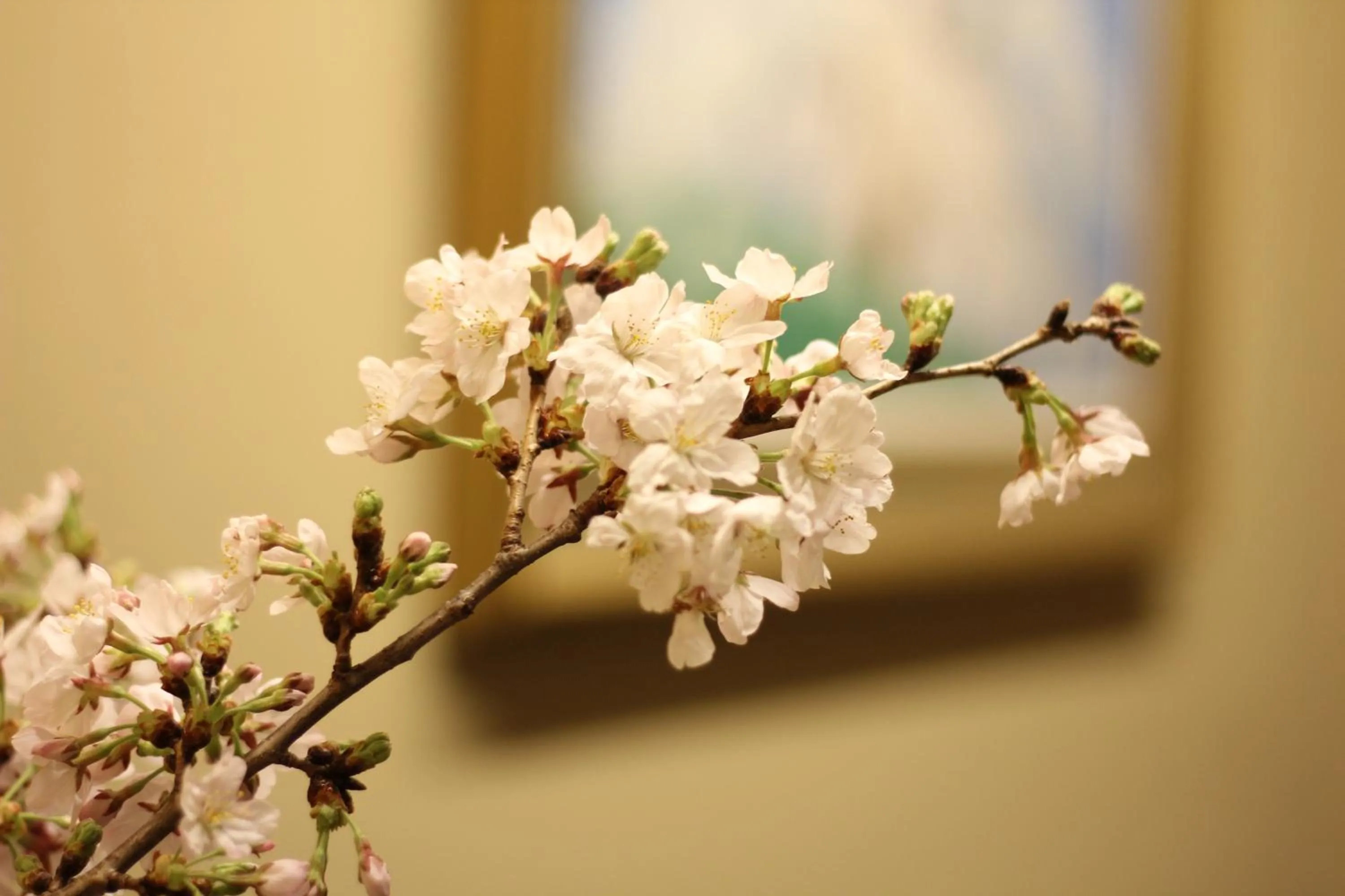 Lounge or bar in THE KITANO HOTEL TOKYO