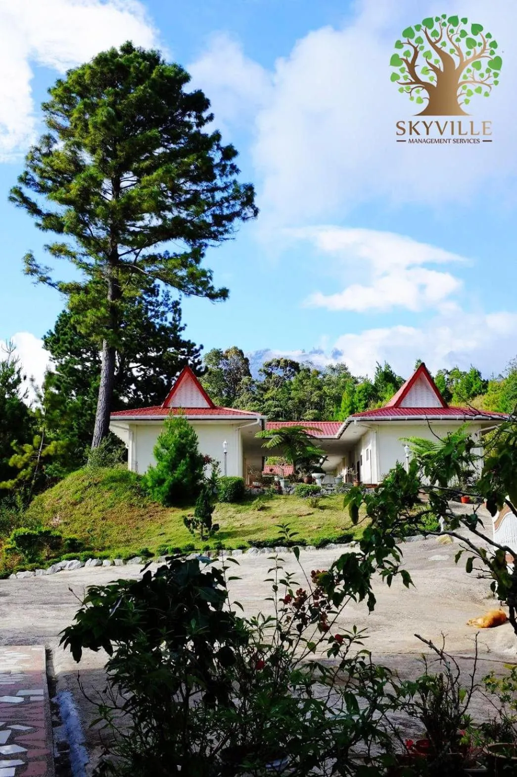 Property building in Skyville Zen Resort,Kundasang
