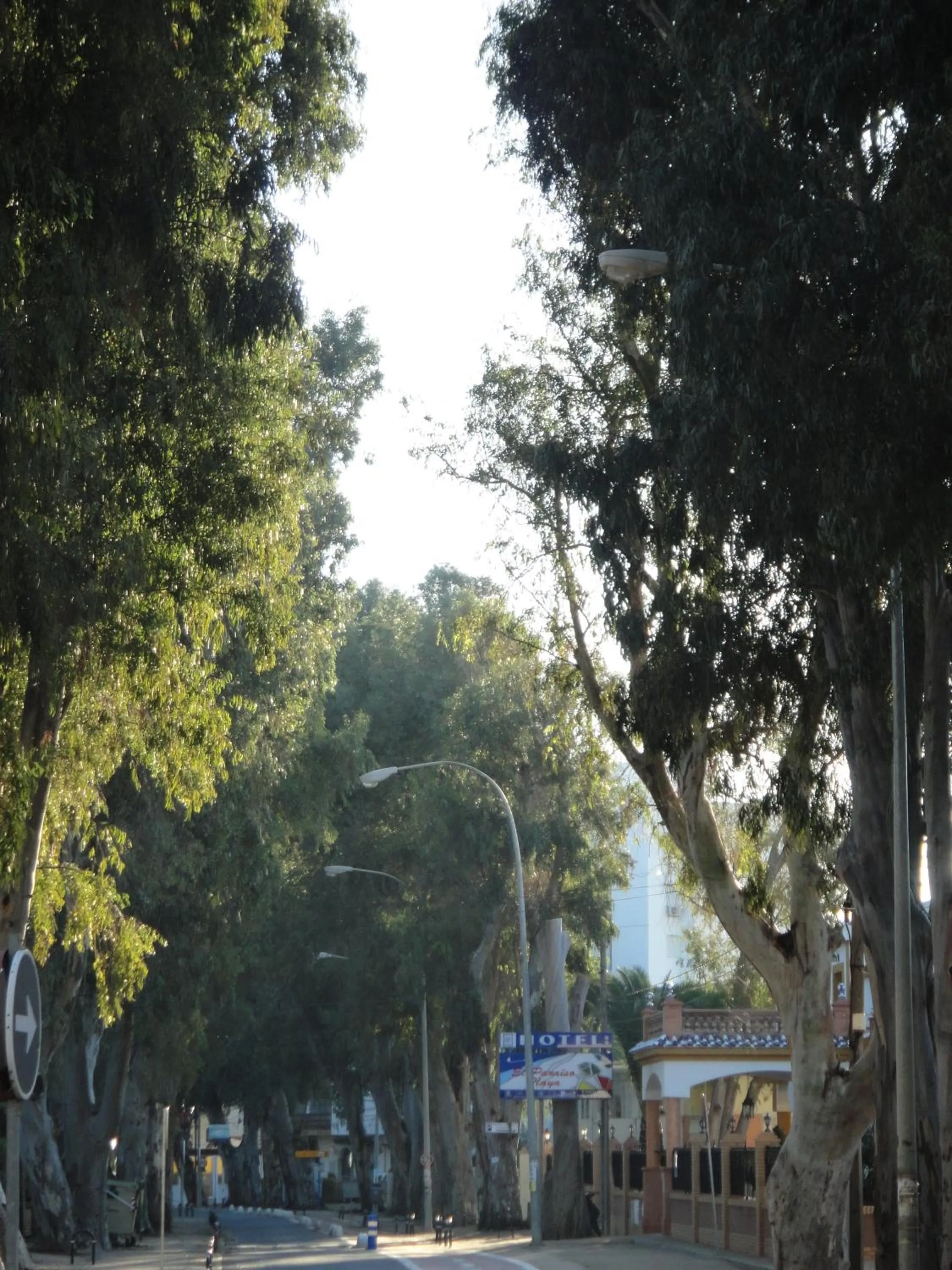 Area and facilities in PARAISO PLAYA Hotel
