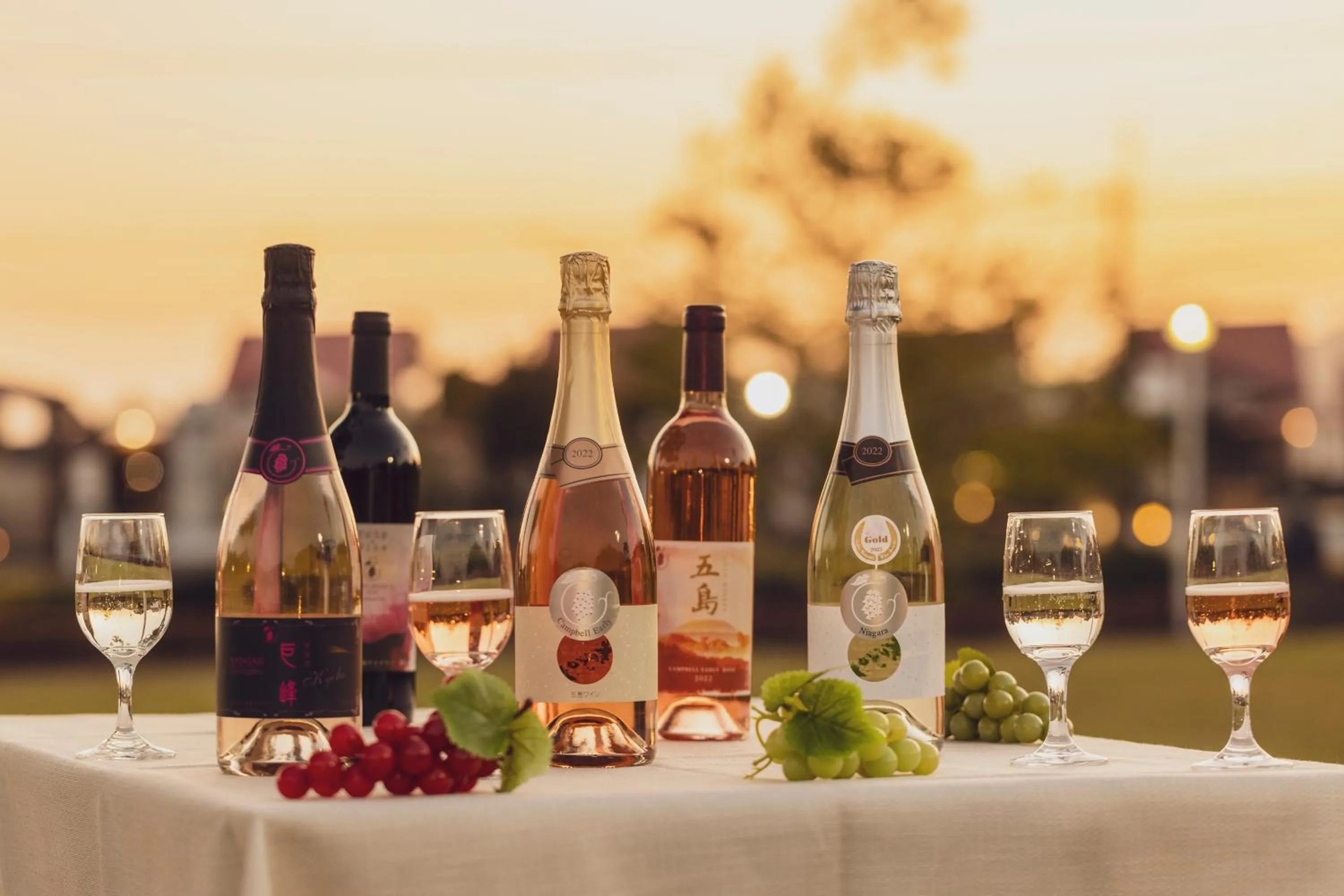 Property building in Goto Conkana Kingdom