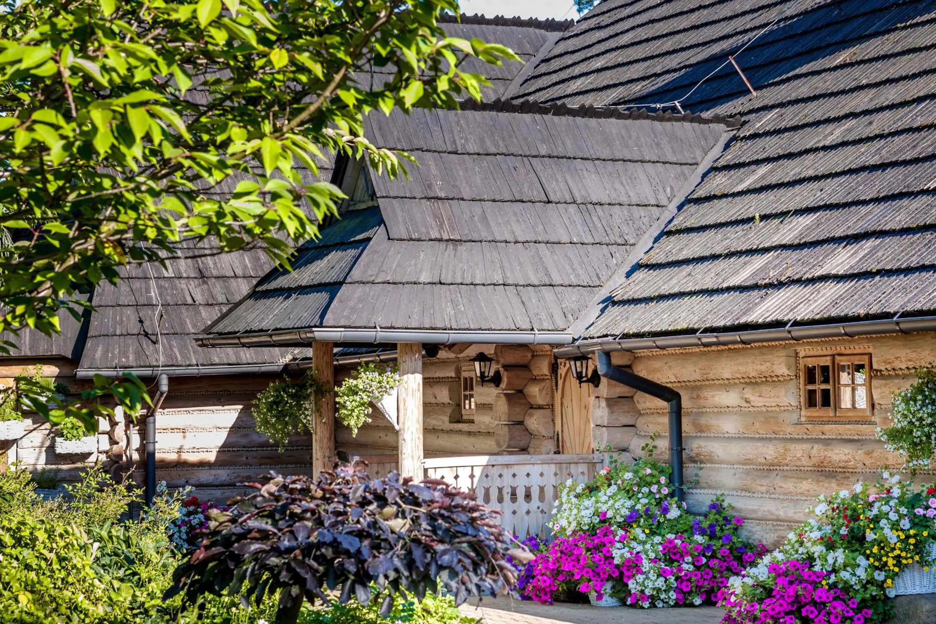 Restaurant/places to eat in Hotel Warszawianka