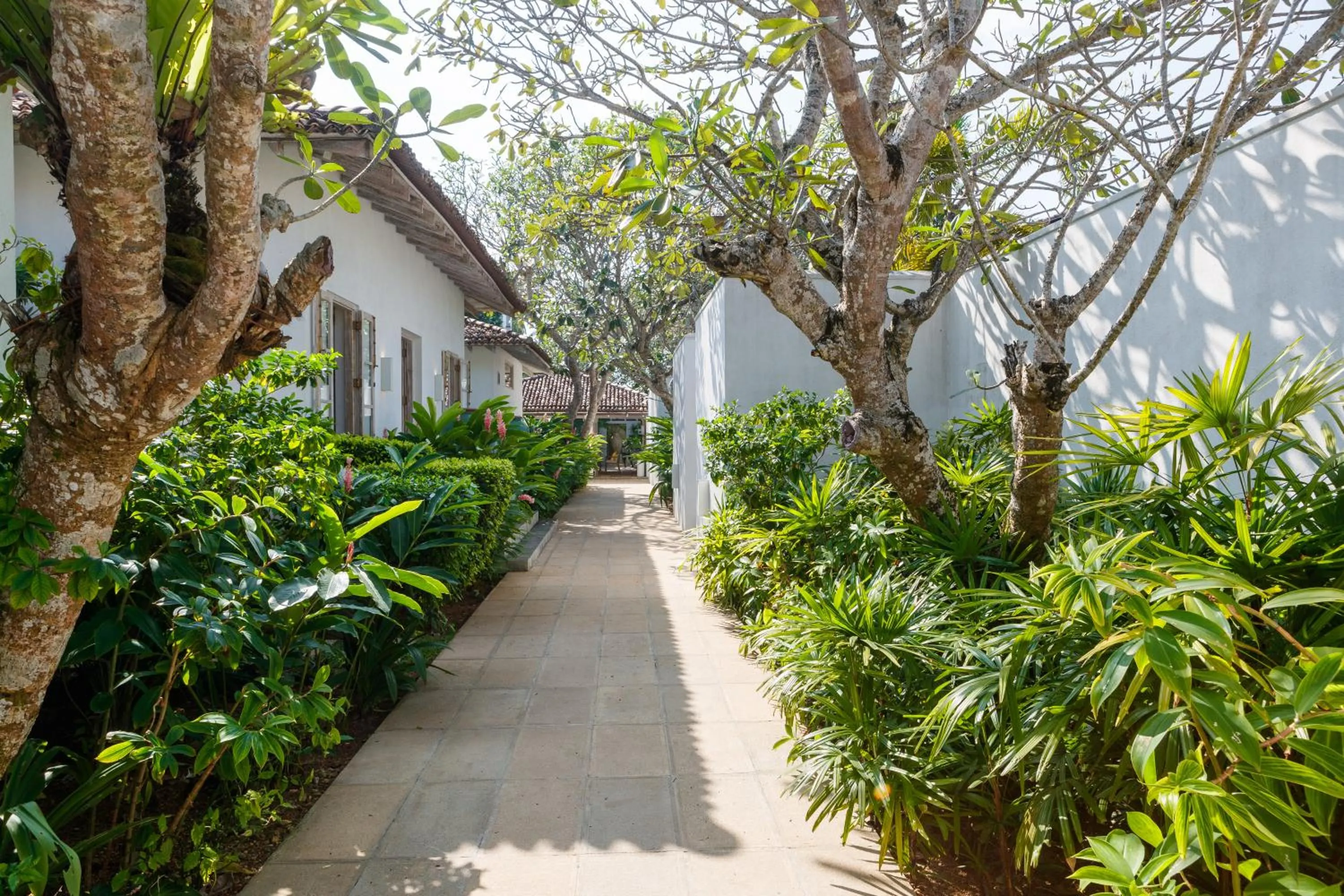 Garden view in Habaraduwa House