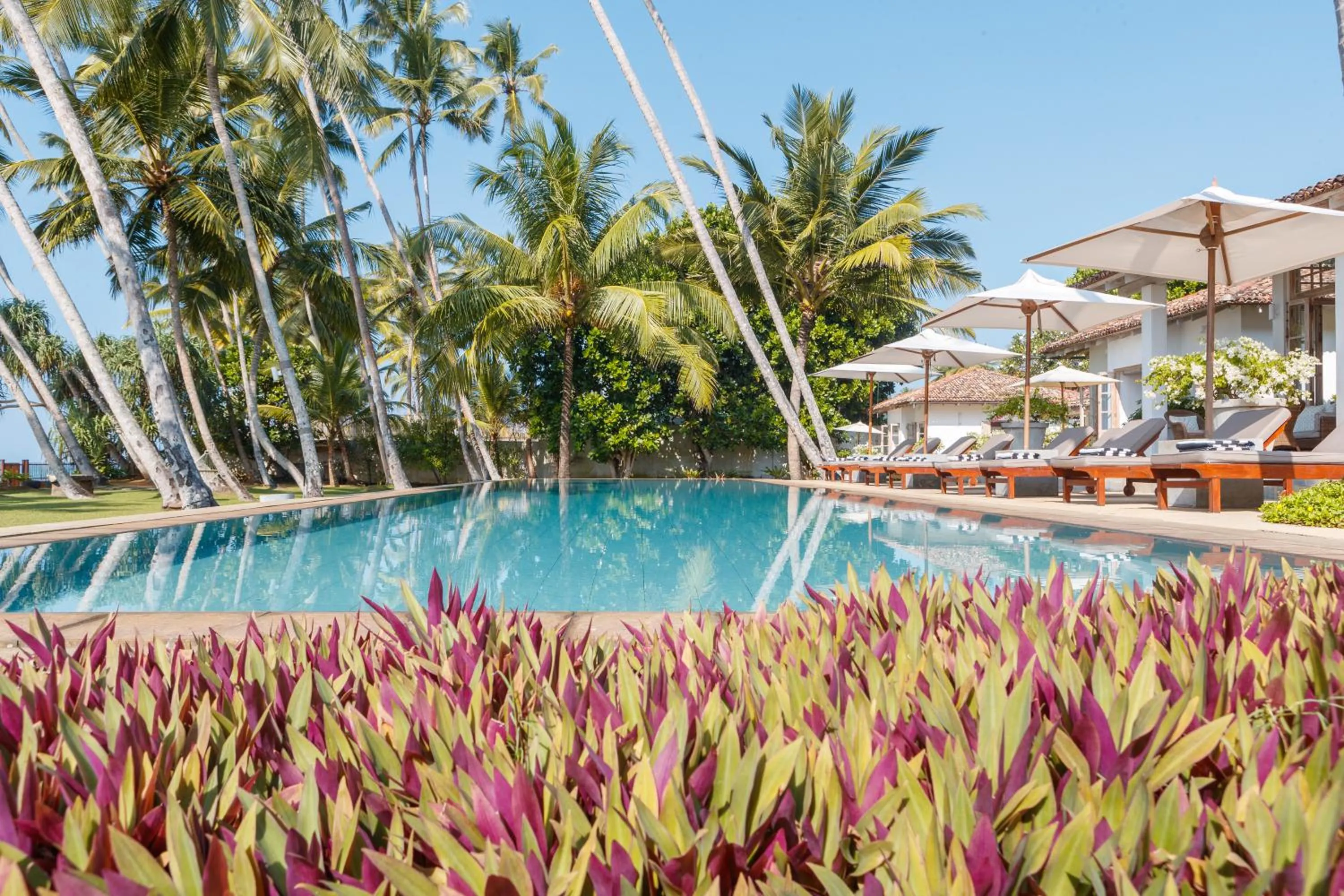 Pool view in Habaraduwa House