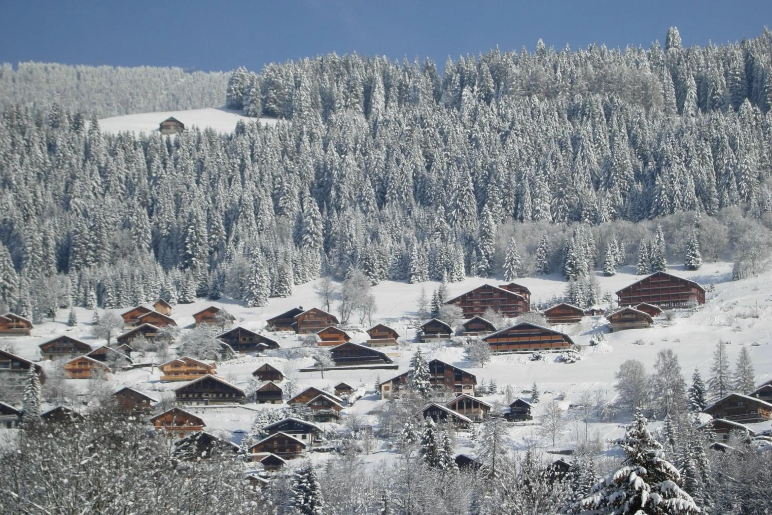 Area and facilities in Au Bois de Lune