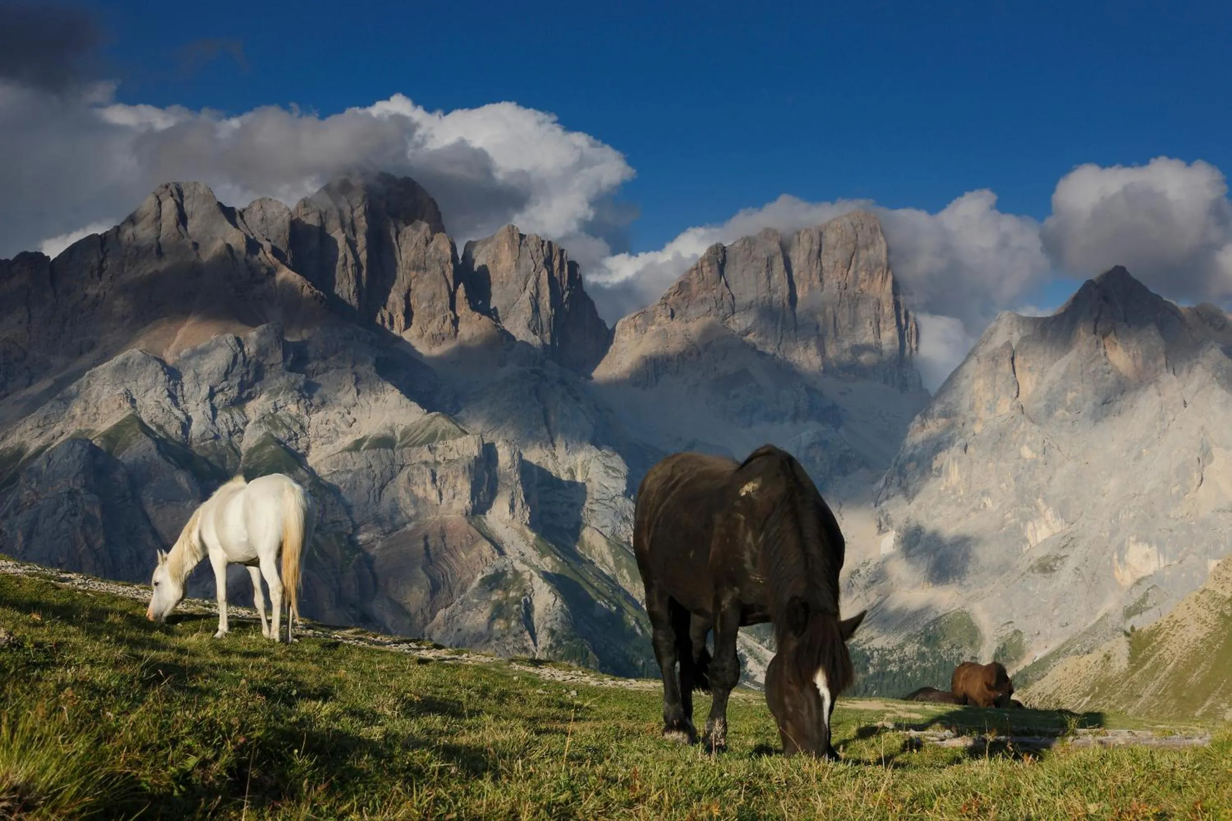 Property building in Hotel Bellevue