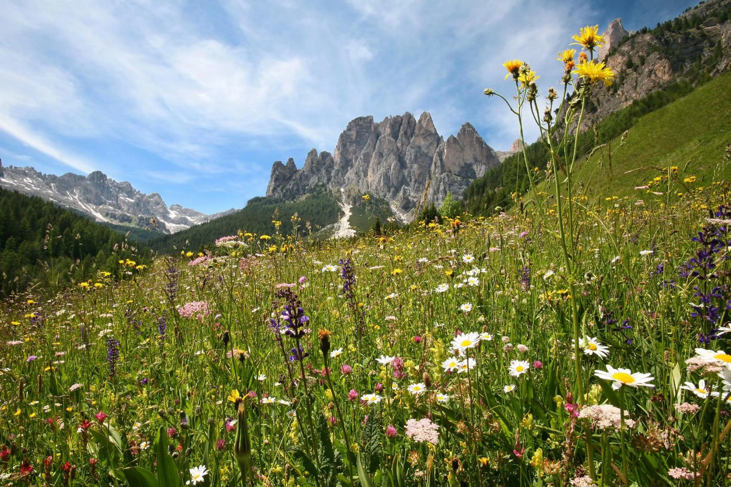 Property building in Hotel Villetta Maria Cottage