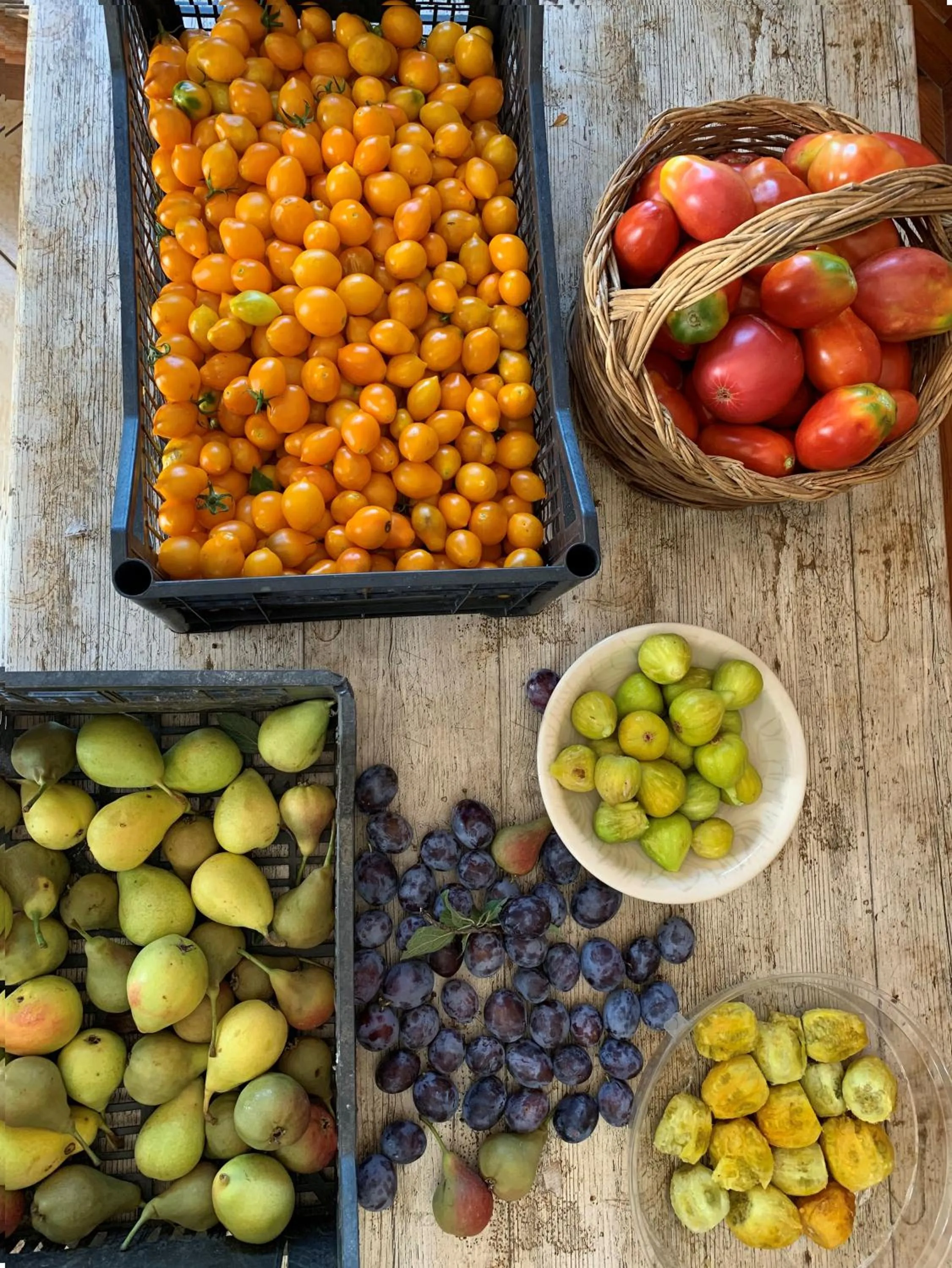 B&B Caput Mundi-Calabria