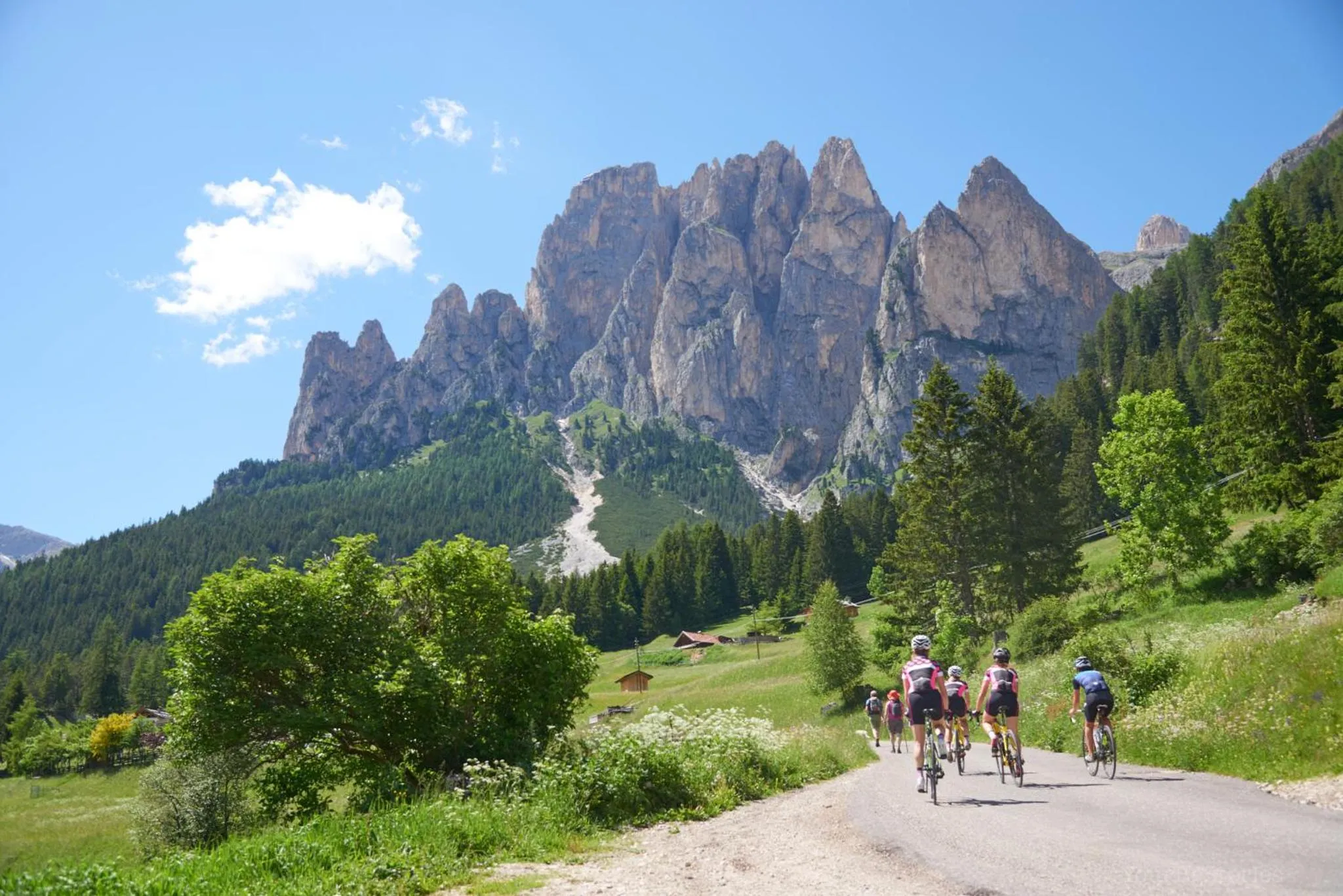 Natural landscape in Hotel Soreghes Gran Chalet