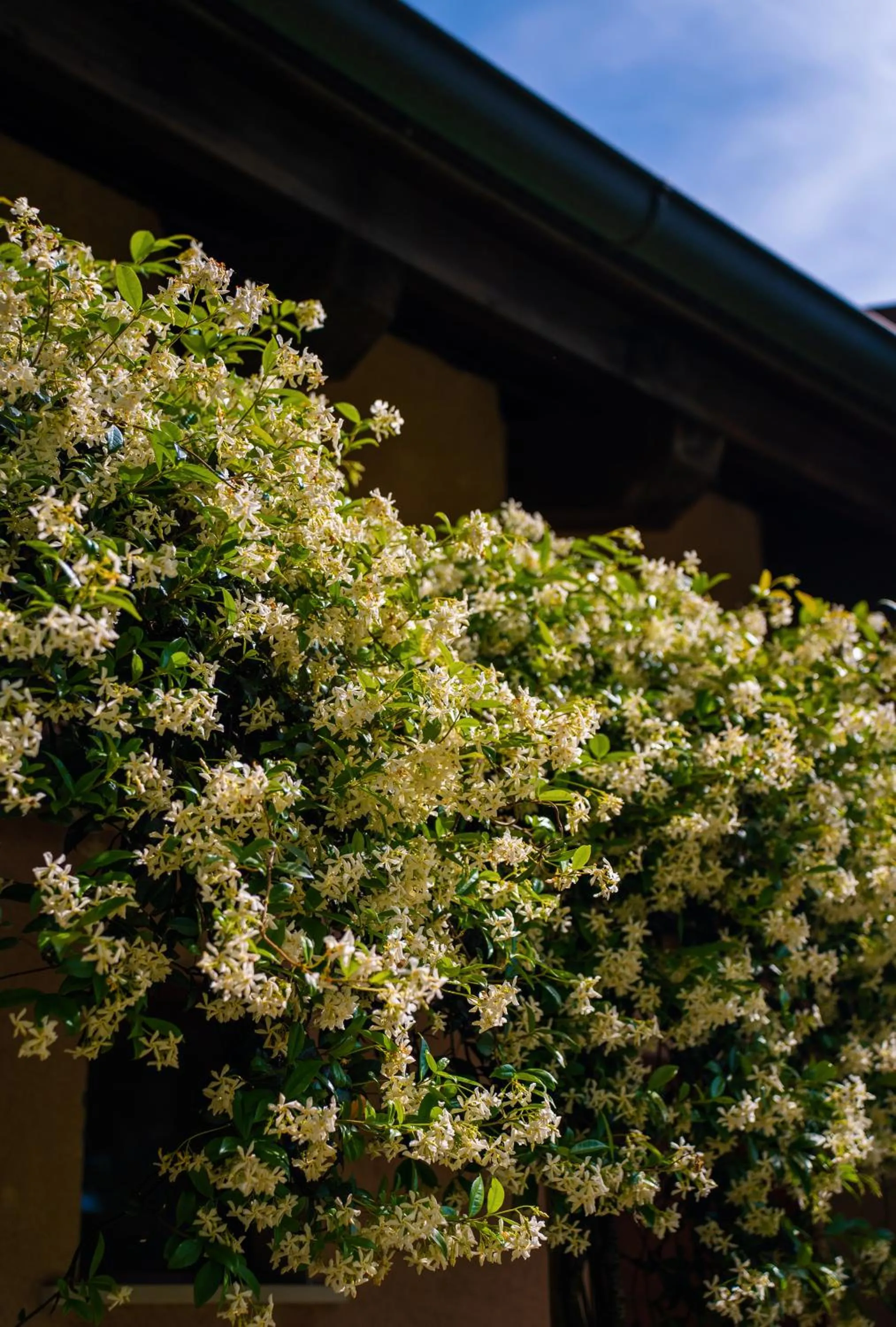 Summer in Villaggio Ca' Laguna
