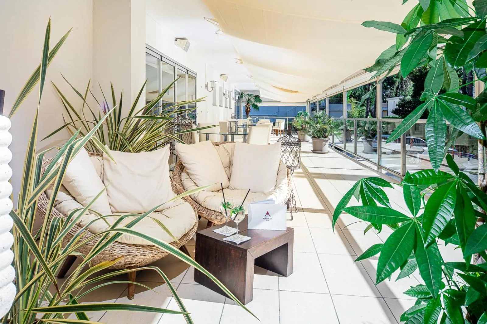 Balcony/Terrace in Hotel Rex