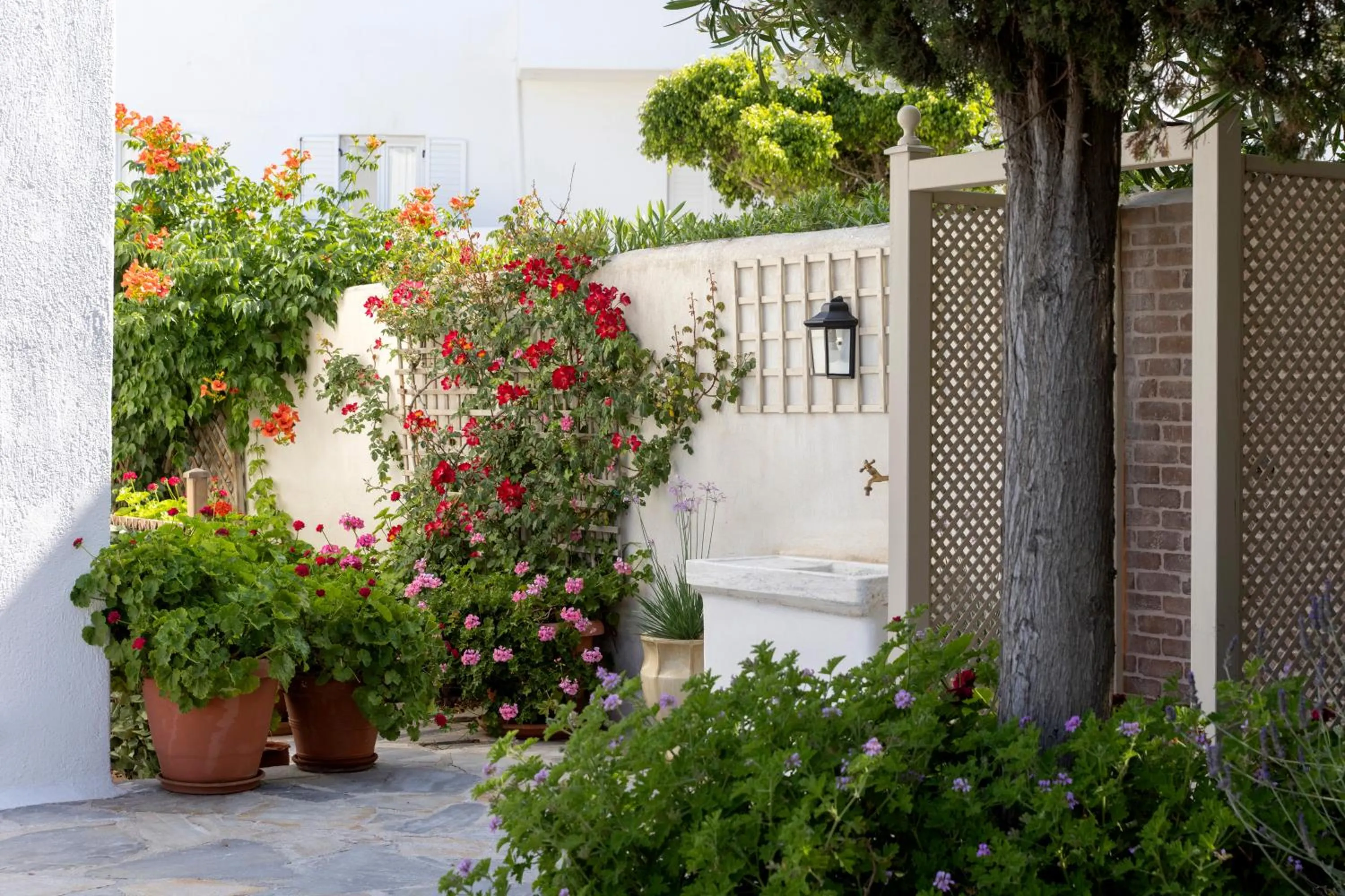 Garden in Despotiko Hotel