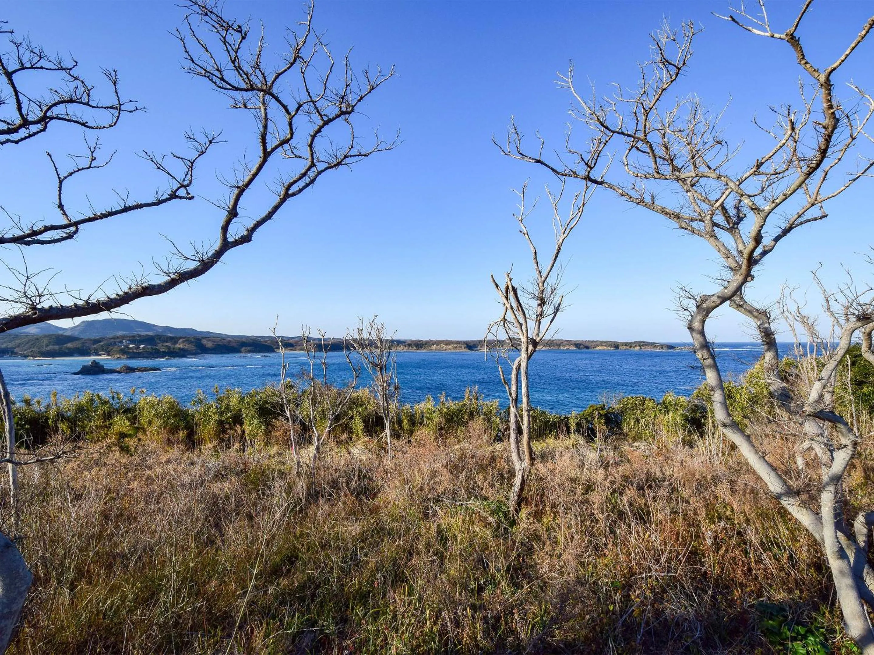 Off site in Tonosaki Bungalow & BBQ