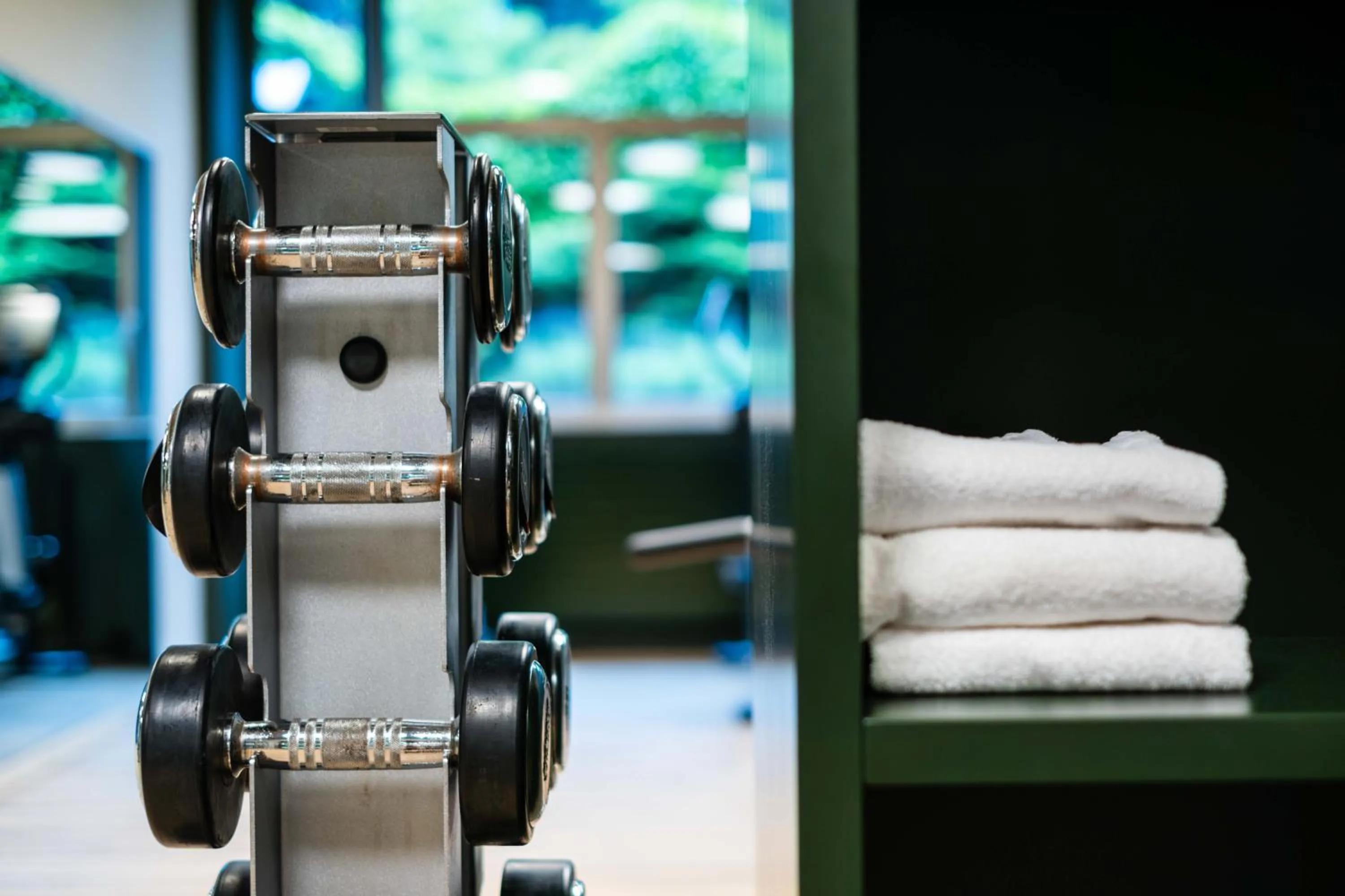 Fitness centre/facilities in Hotel Seepark Thun