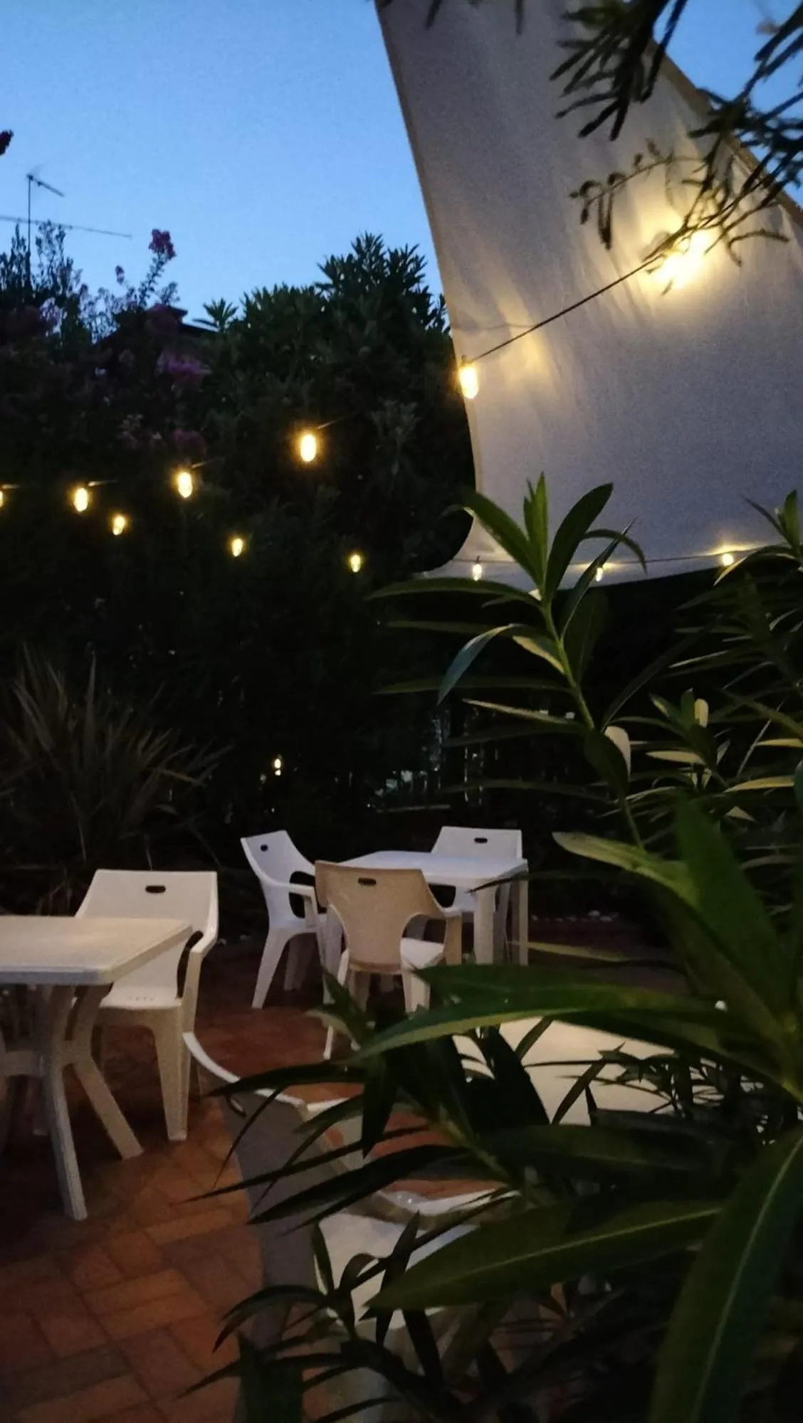 Garden in HOTEL Villa Lilla