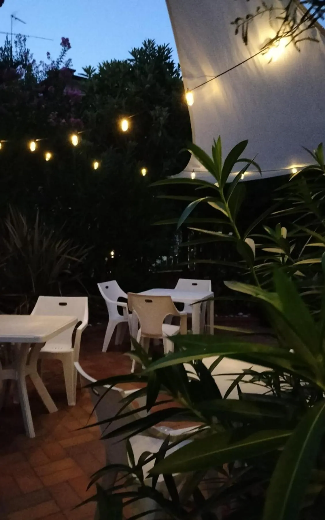 Lounge or bar in HOTEL Villa Lilla