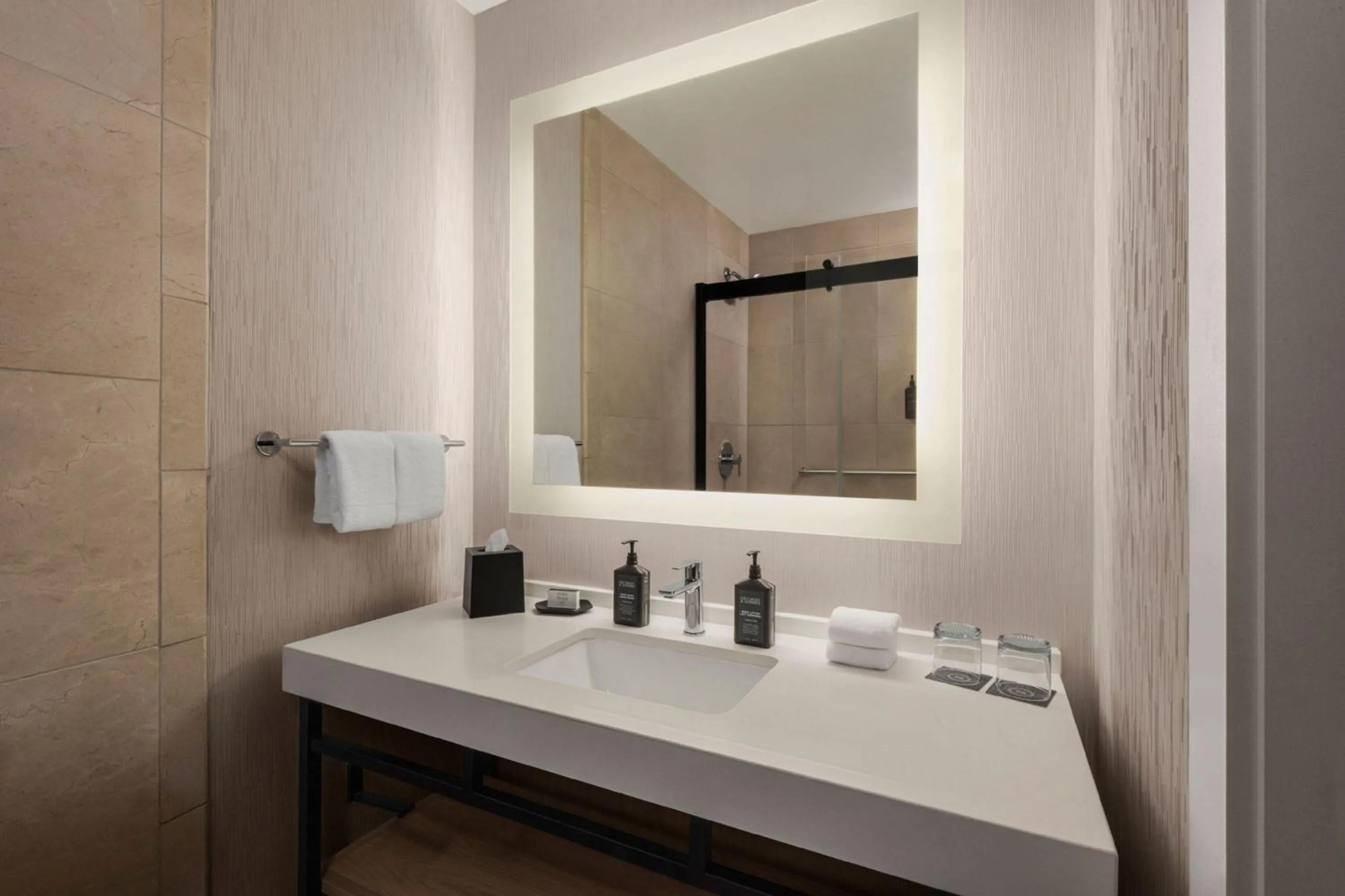 Bathroom in Sheraton La Jolla