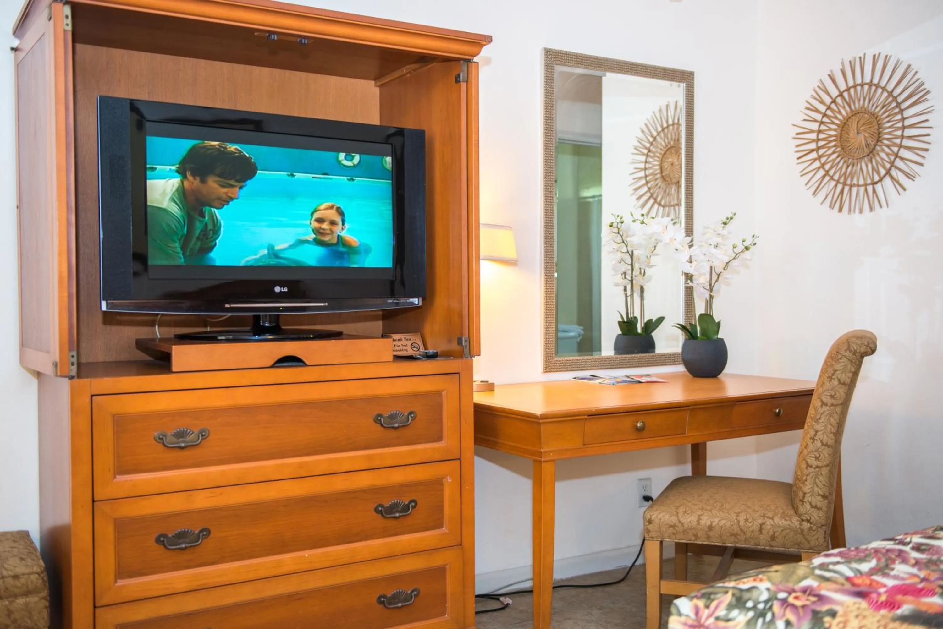 TV and multimedia in Shore Haven Resort Inn