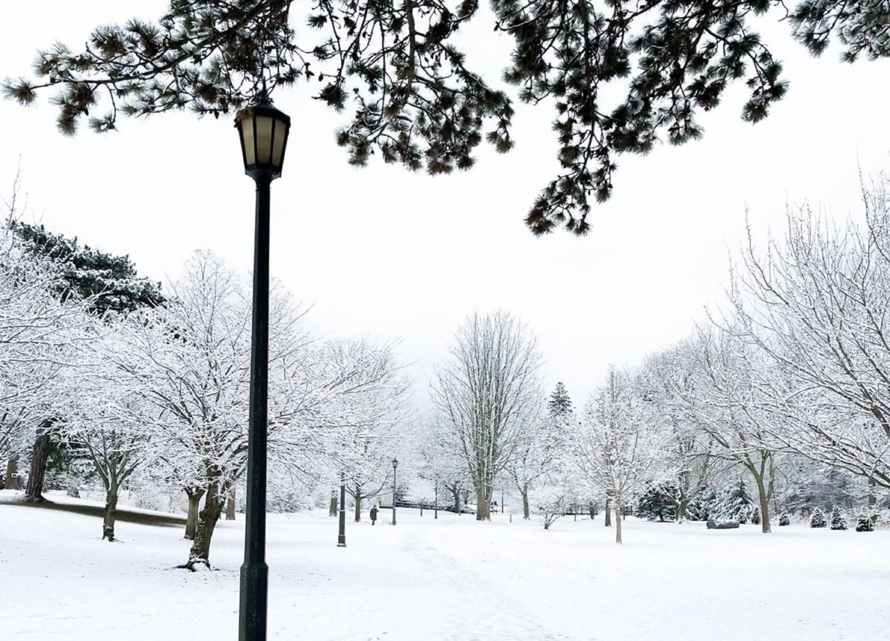 Area and facilities in Staybridge Suites Oakville Burlington by IHG