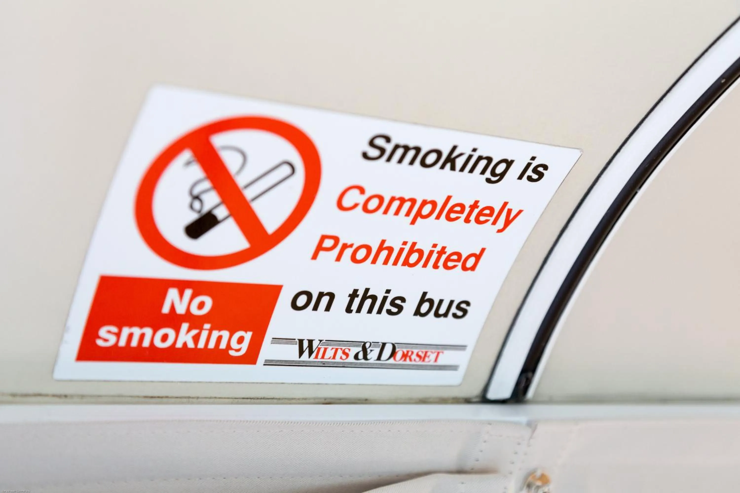 Decorative detail in Bed In Bus