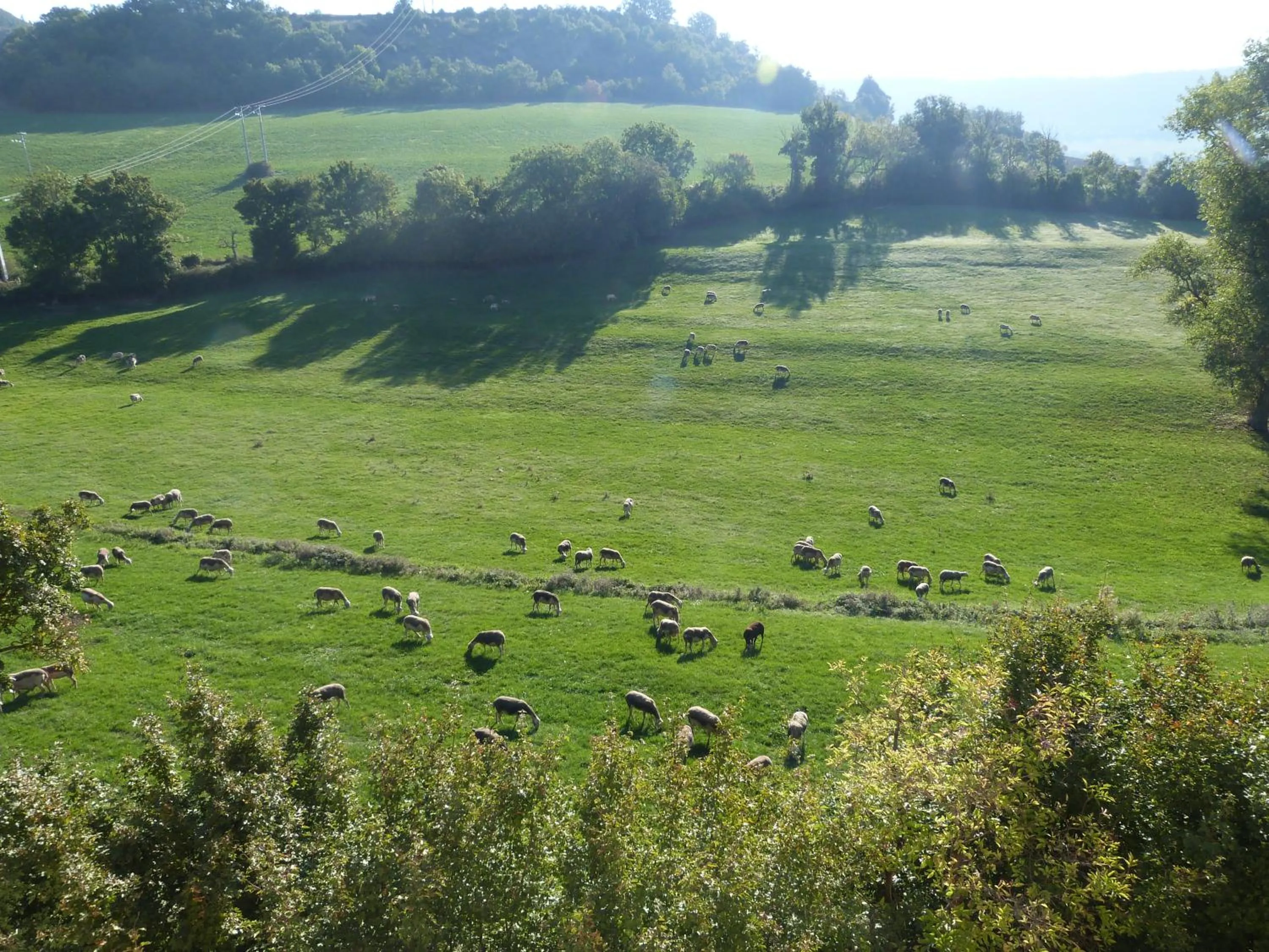 View (from property/room) in La Reine des prés Chambres d'Hôtes