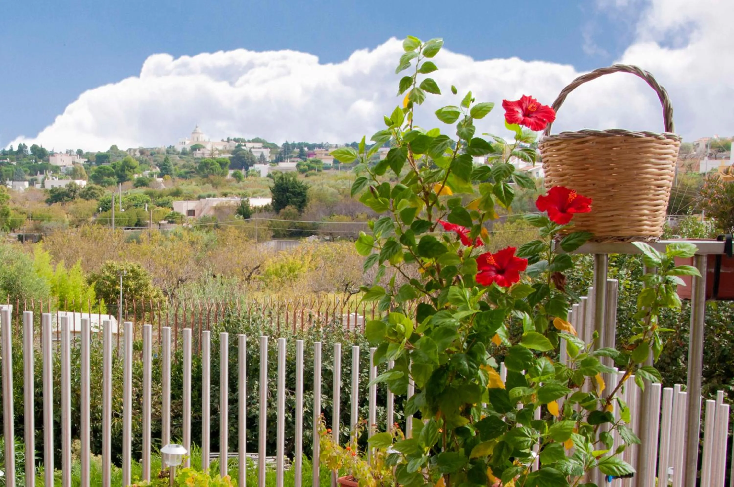 Property building in Casa Mastronardi