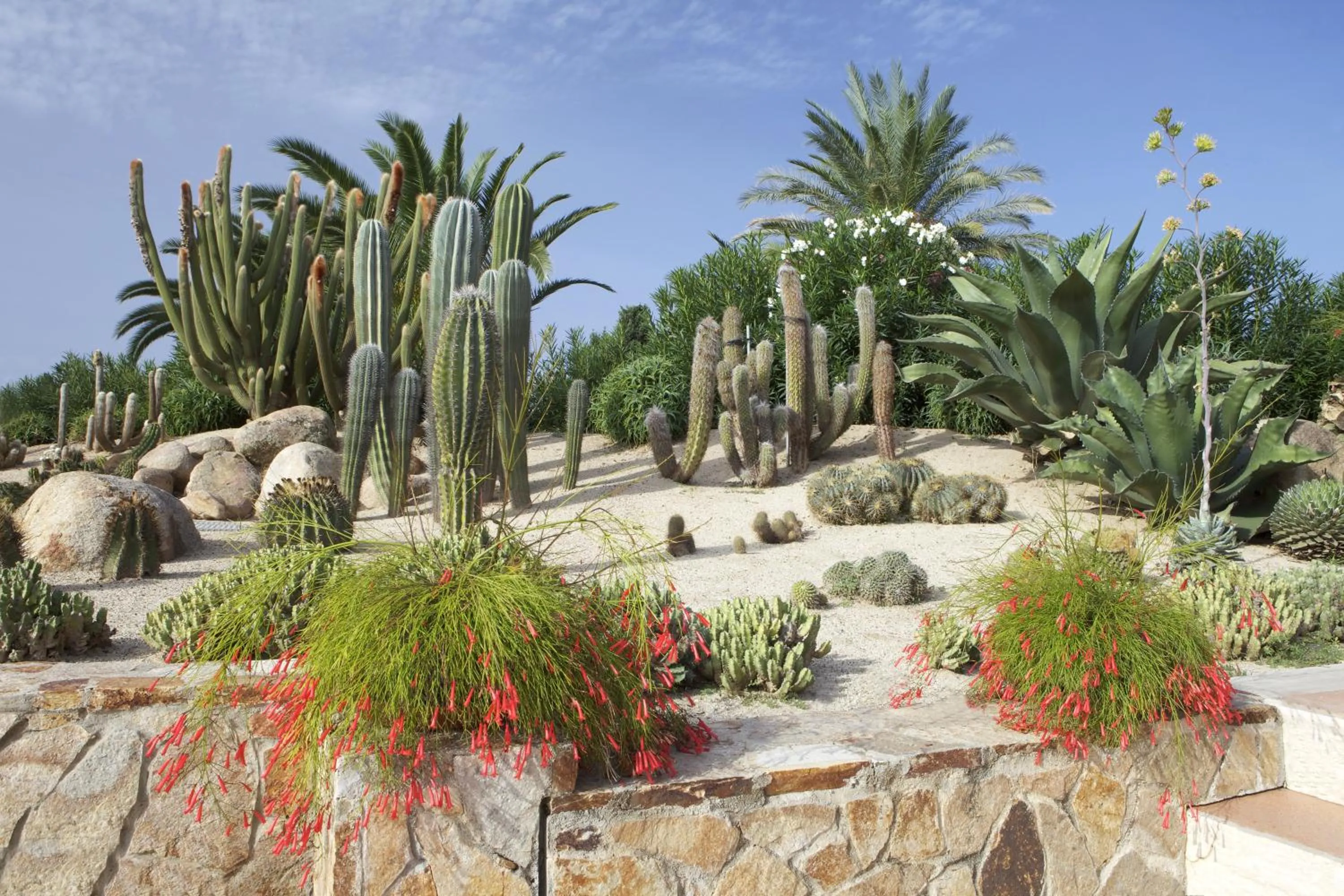 Garden in Lantana Resort Hotel&Apartments