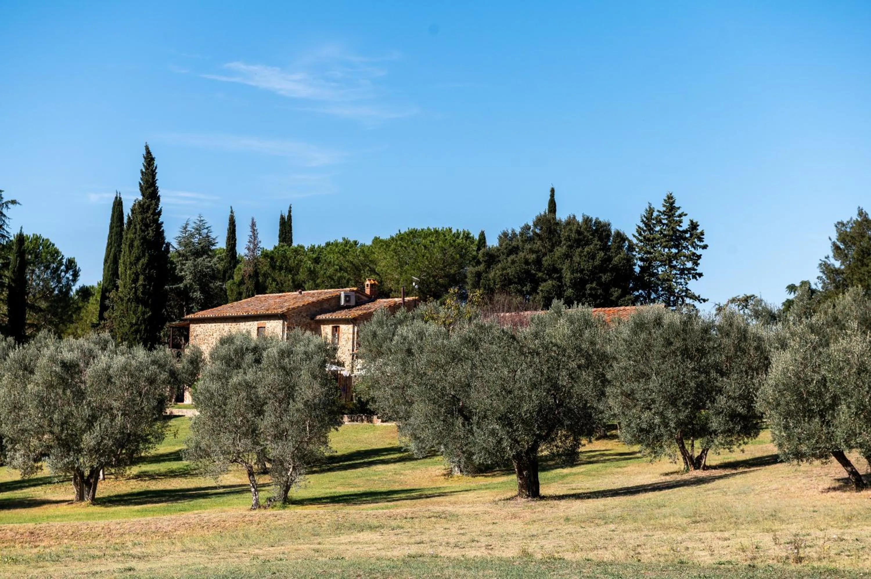 Tenuta Aronne