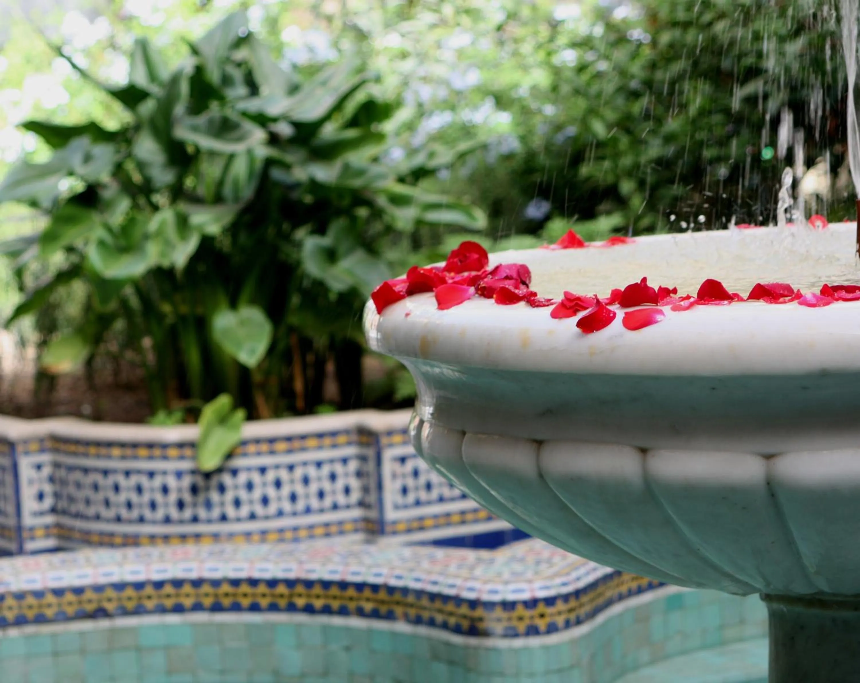 Facade/entrance in Palais Amani