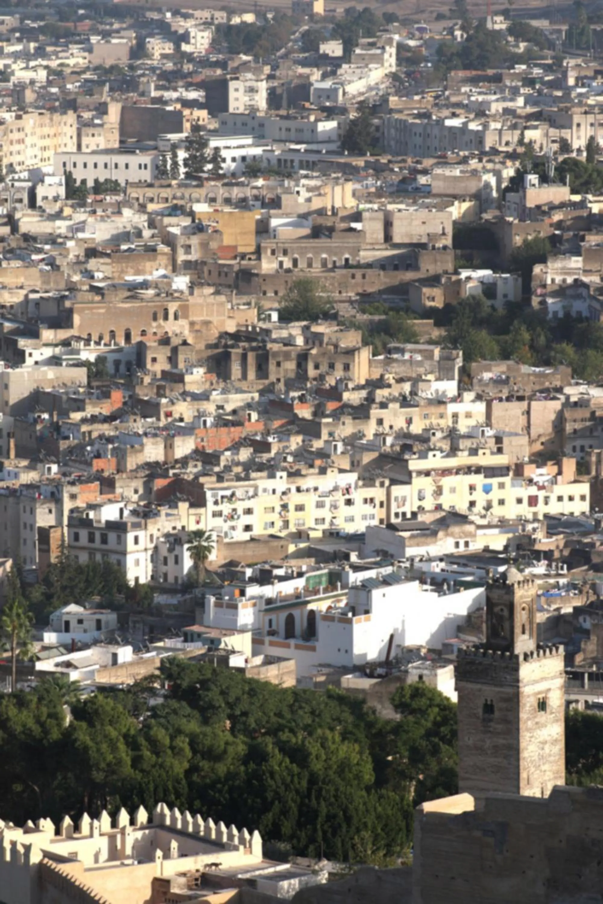 Bird's eye view in Palais Amani
