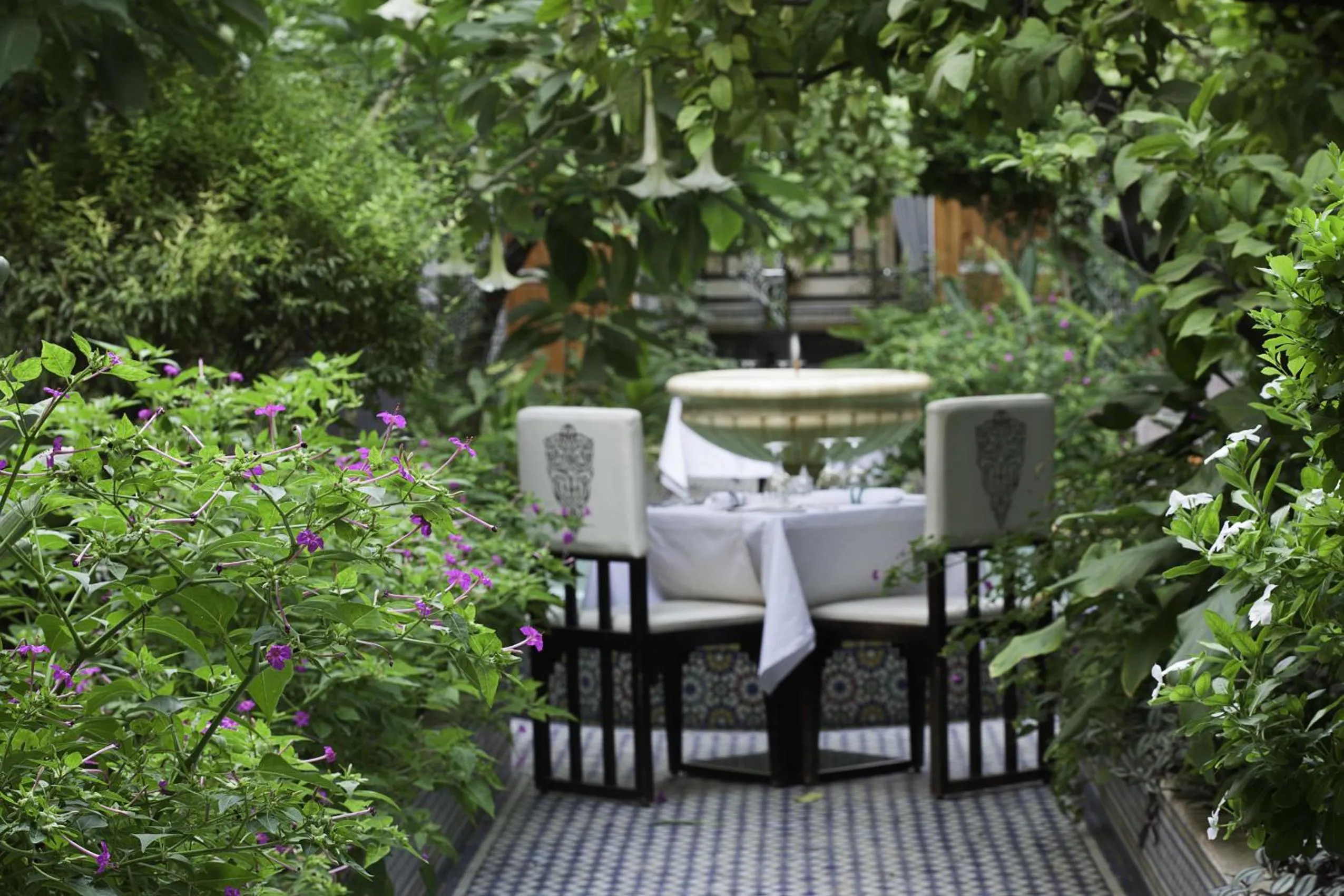 Garden in Palais Amani