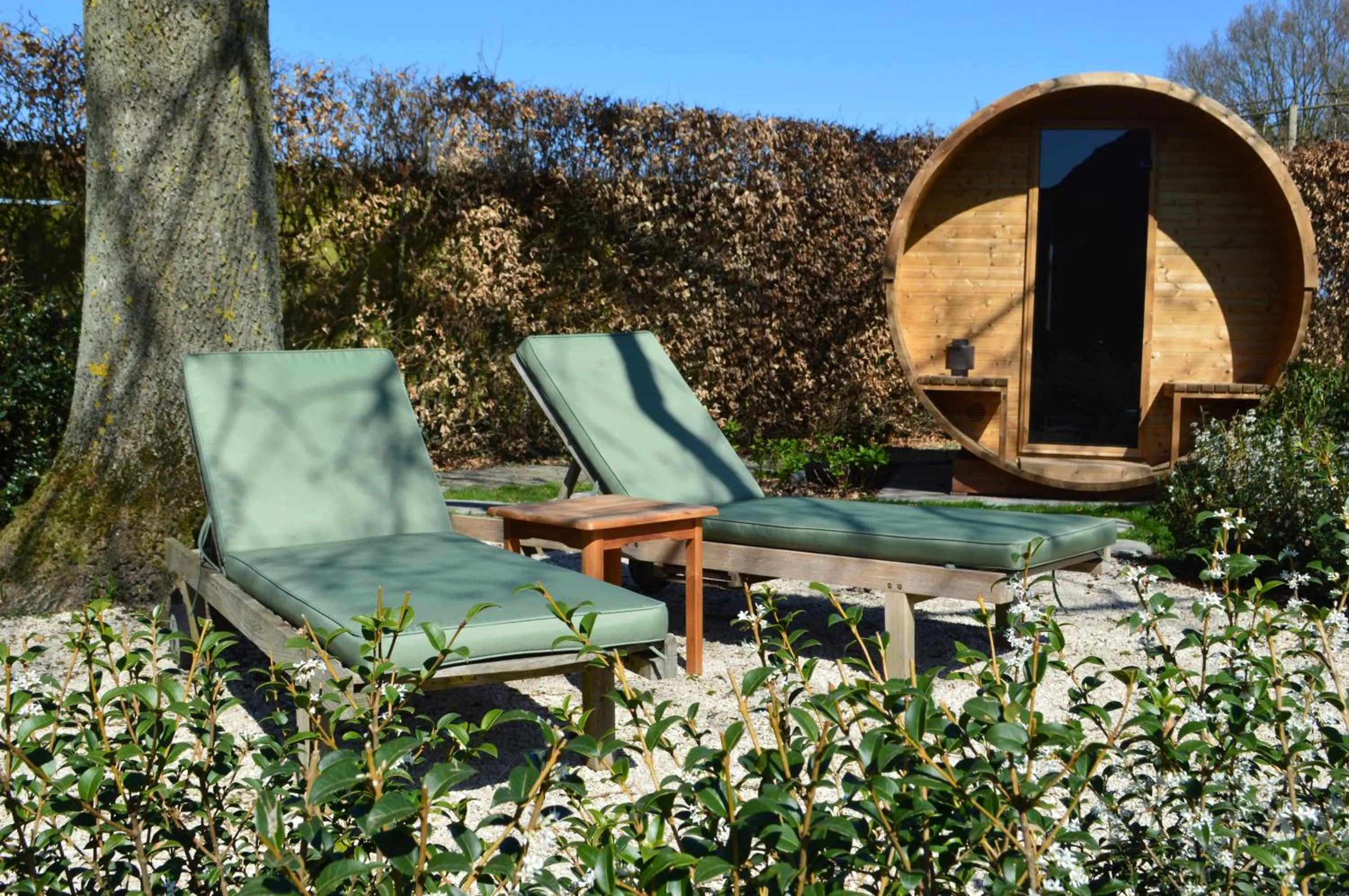 Spring in B&B Gielse Garden