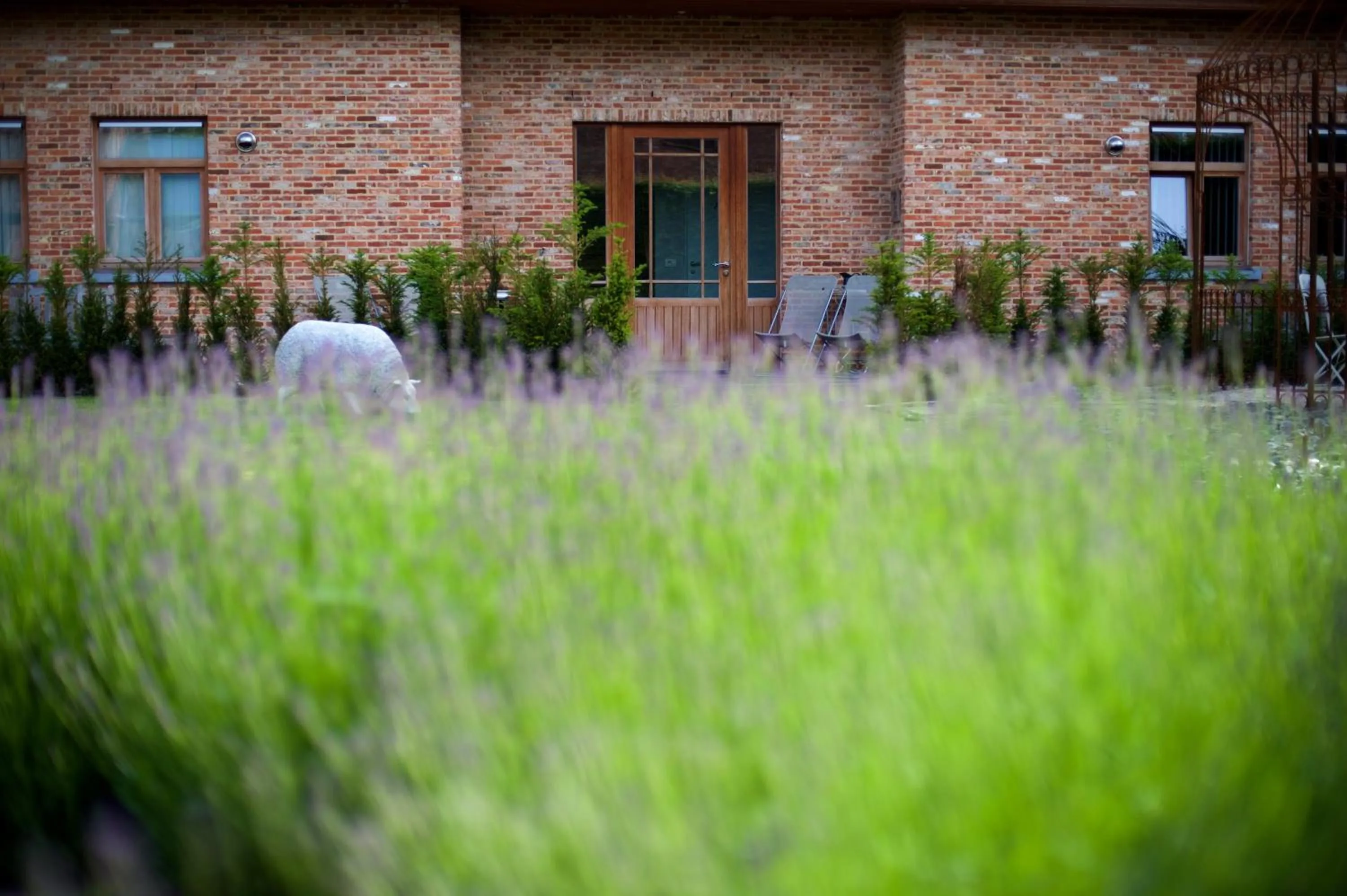 Garden view in B&B Gielse Garden