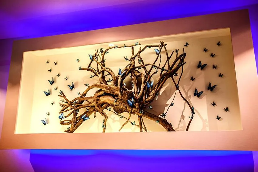 La Mariposa Mauritius