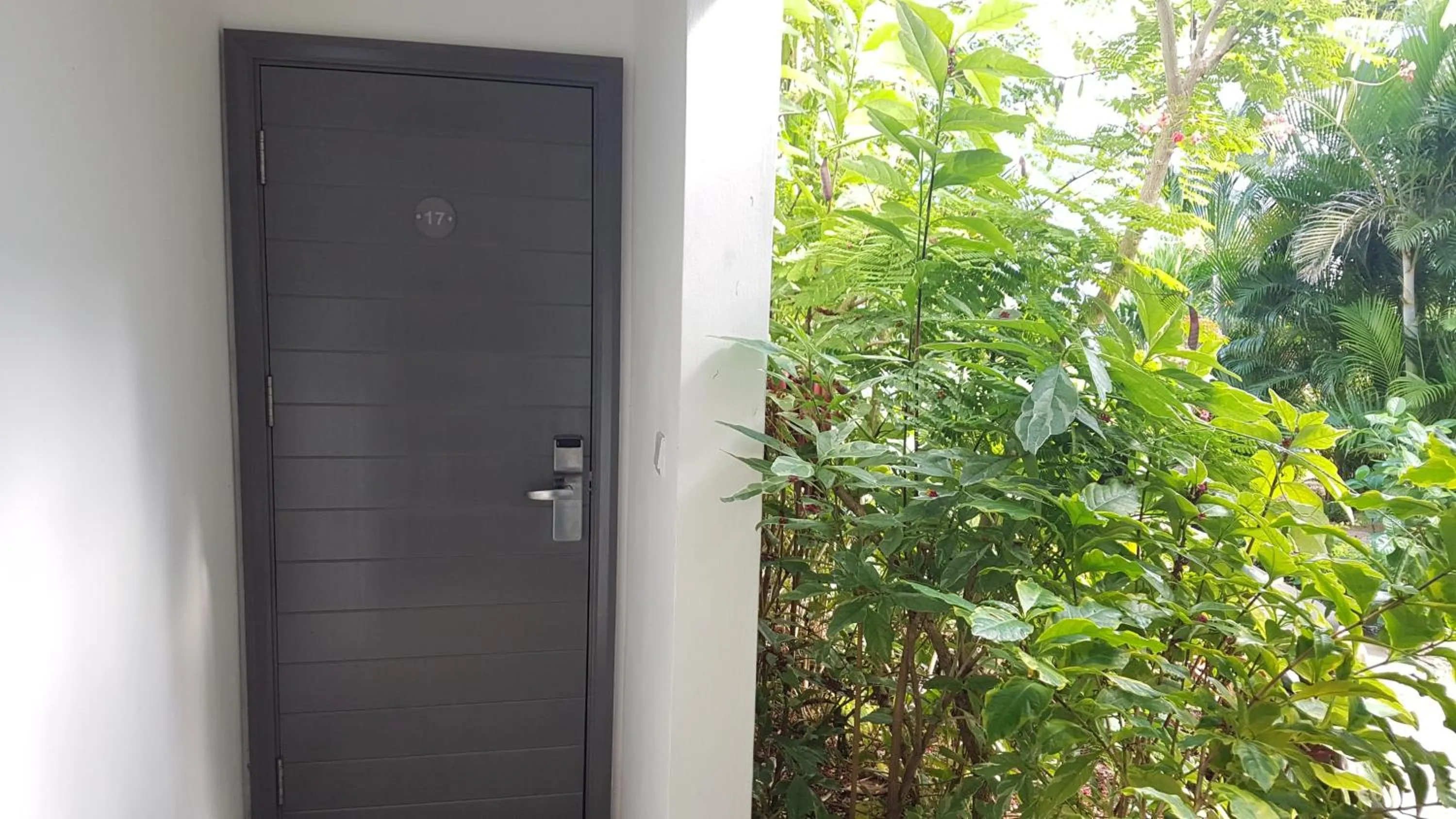 La Mariposa Mauritius