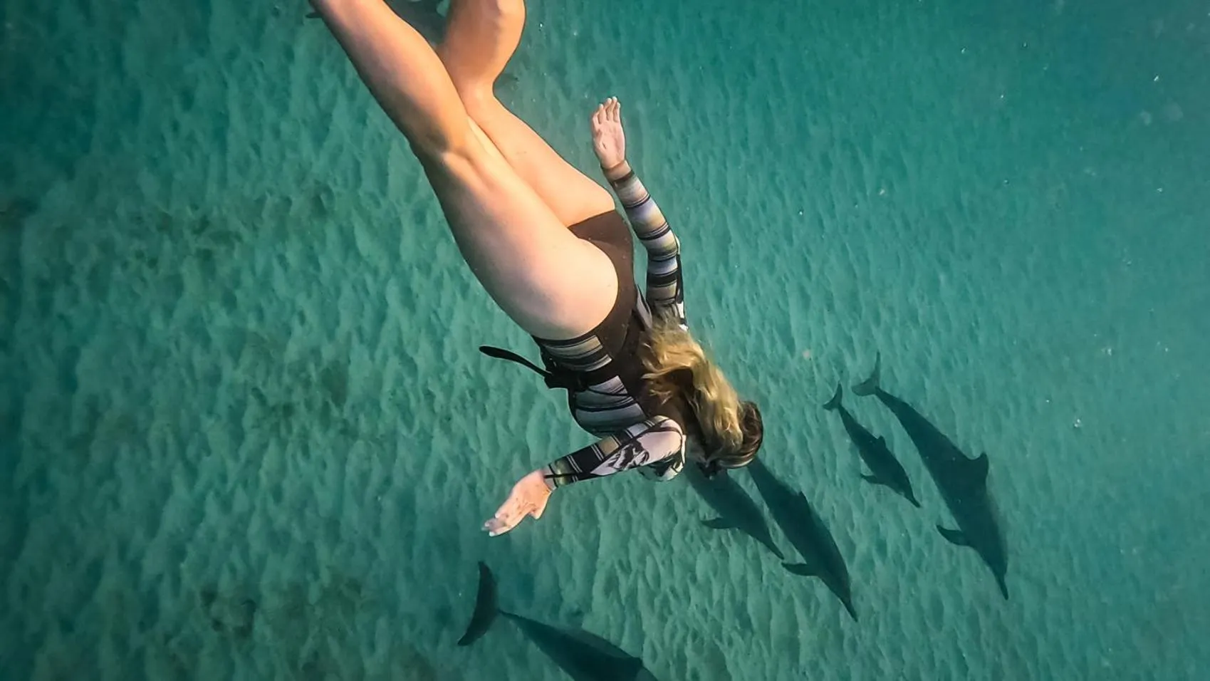 La Mariposa Mauritius