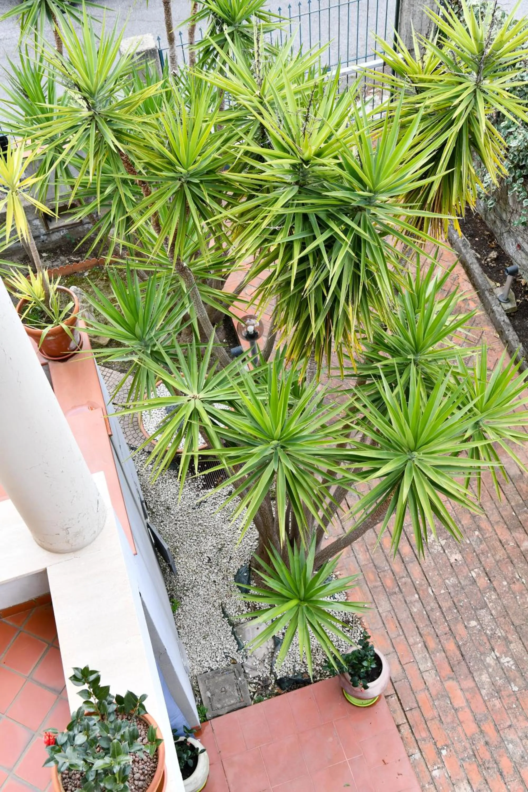 Bird's eye view in Il Piccolo Hotel