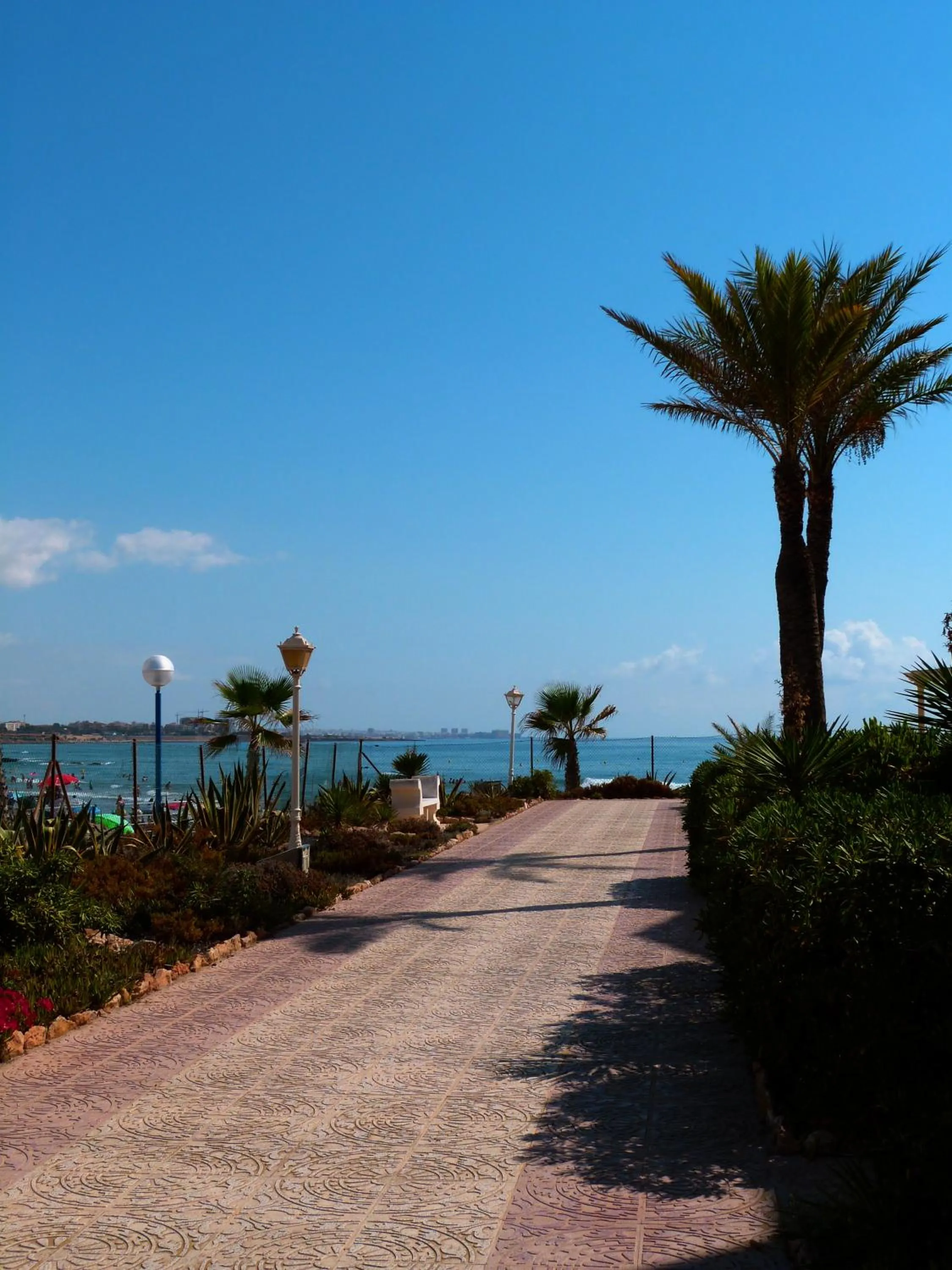 Natural landscape in Shoal Apartamentos
