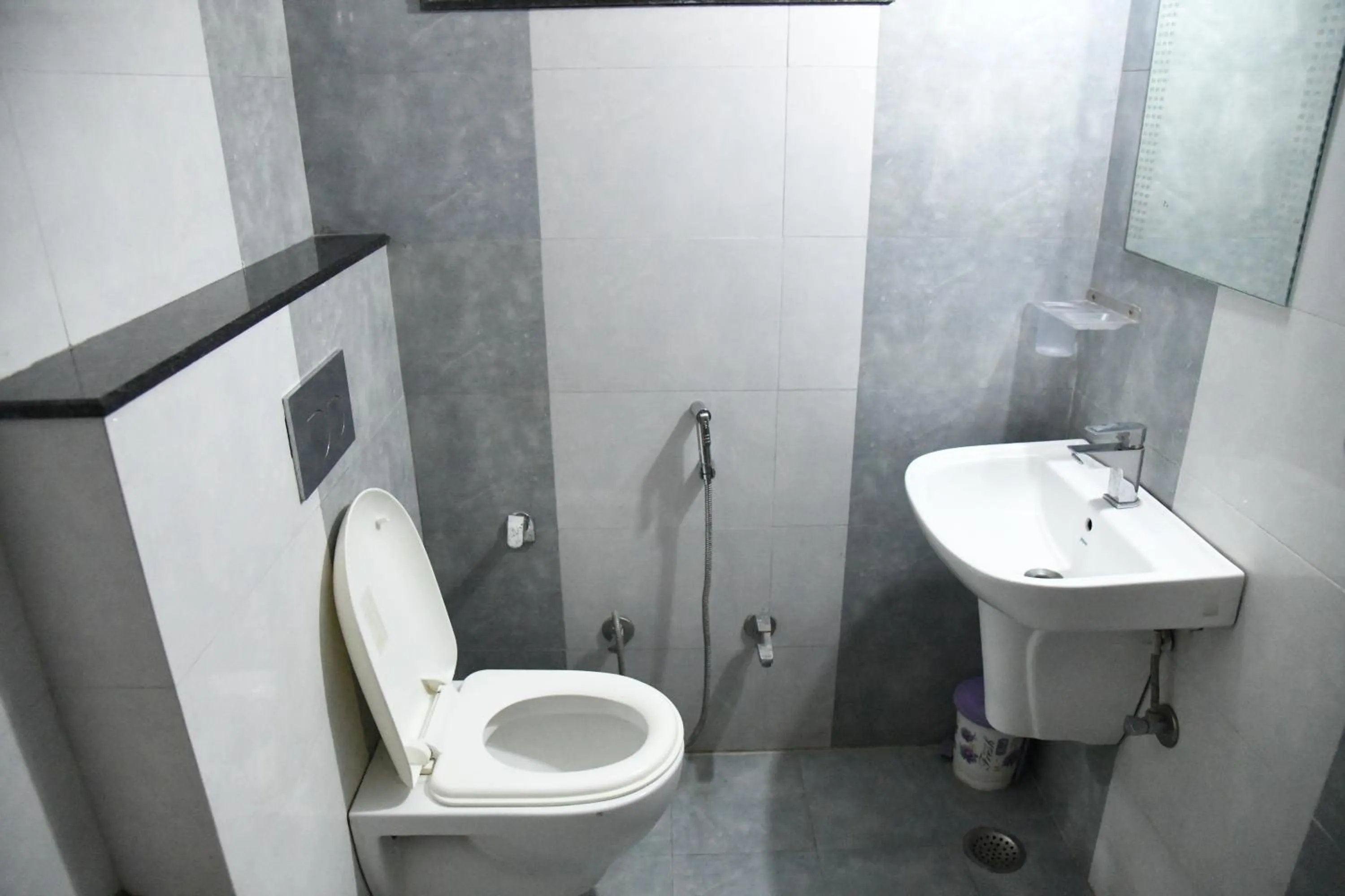 Toilet in Hotel Thikana Palace