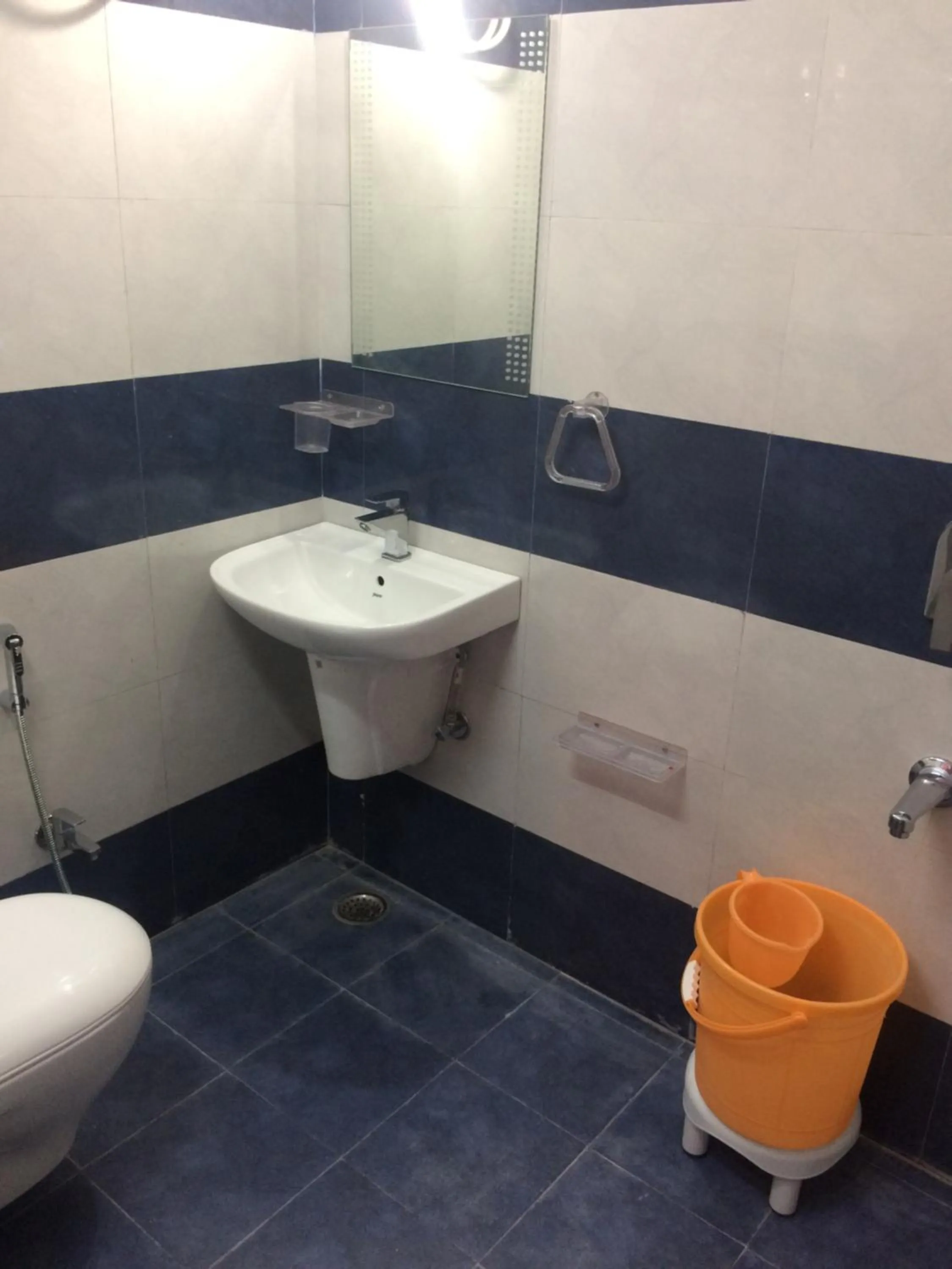 Shower in Hotel Thikana Palace