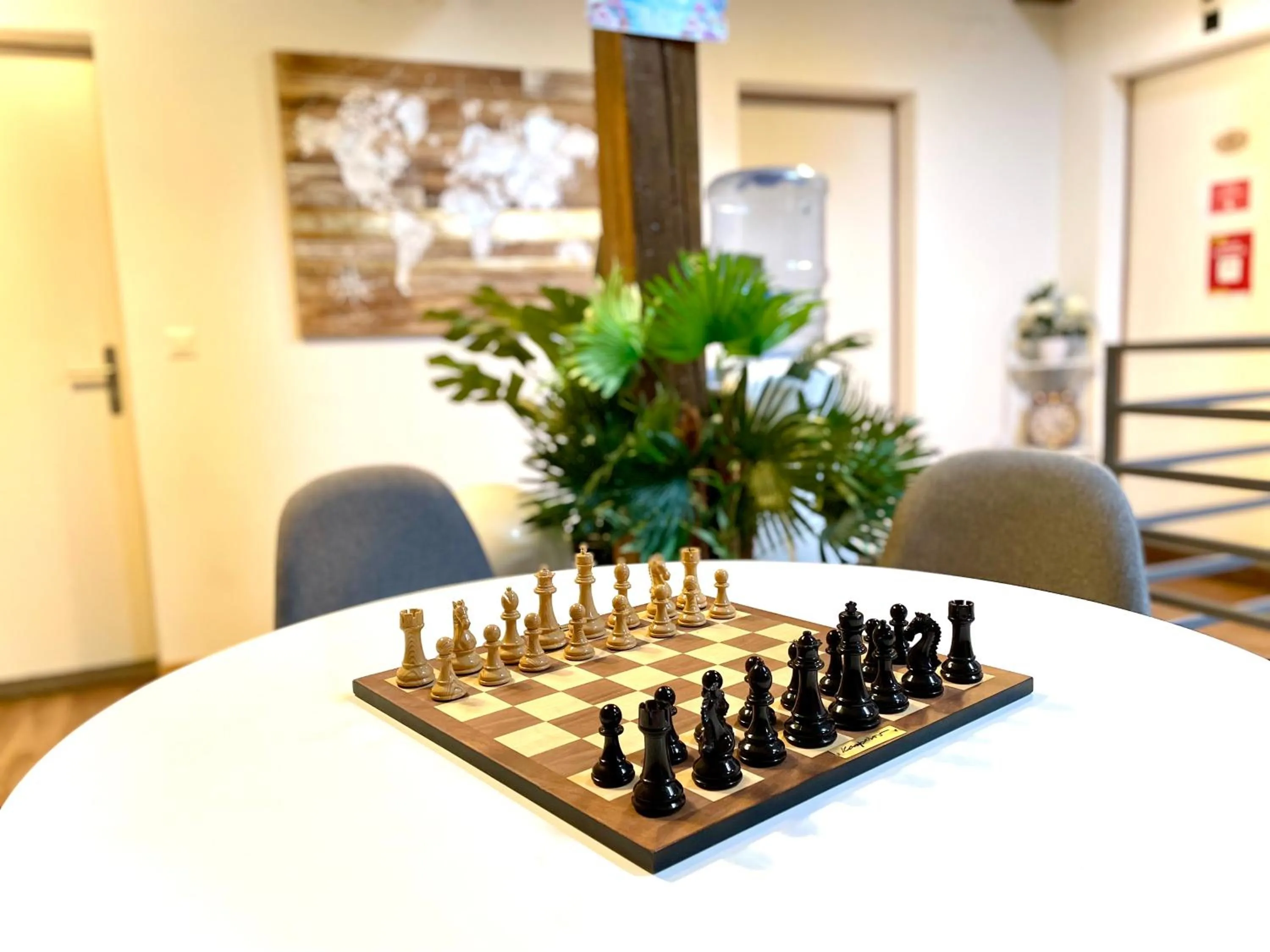 Activities in VIVA Hostel