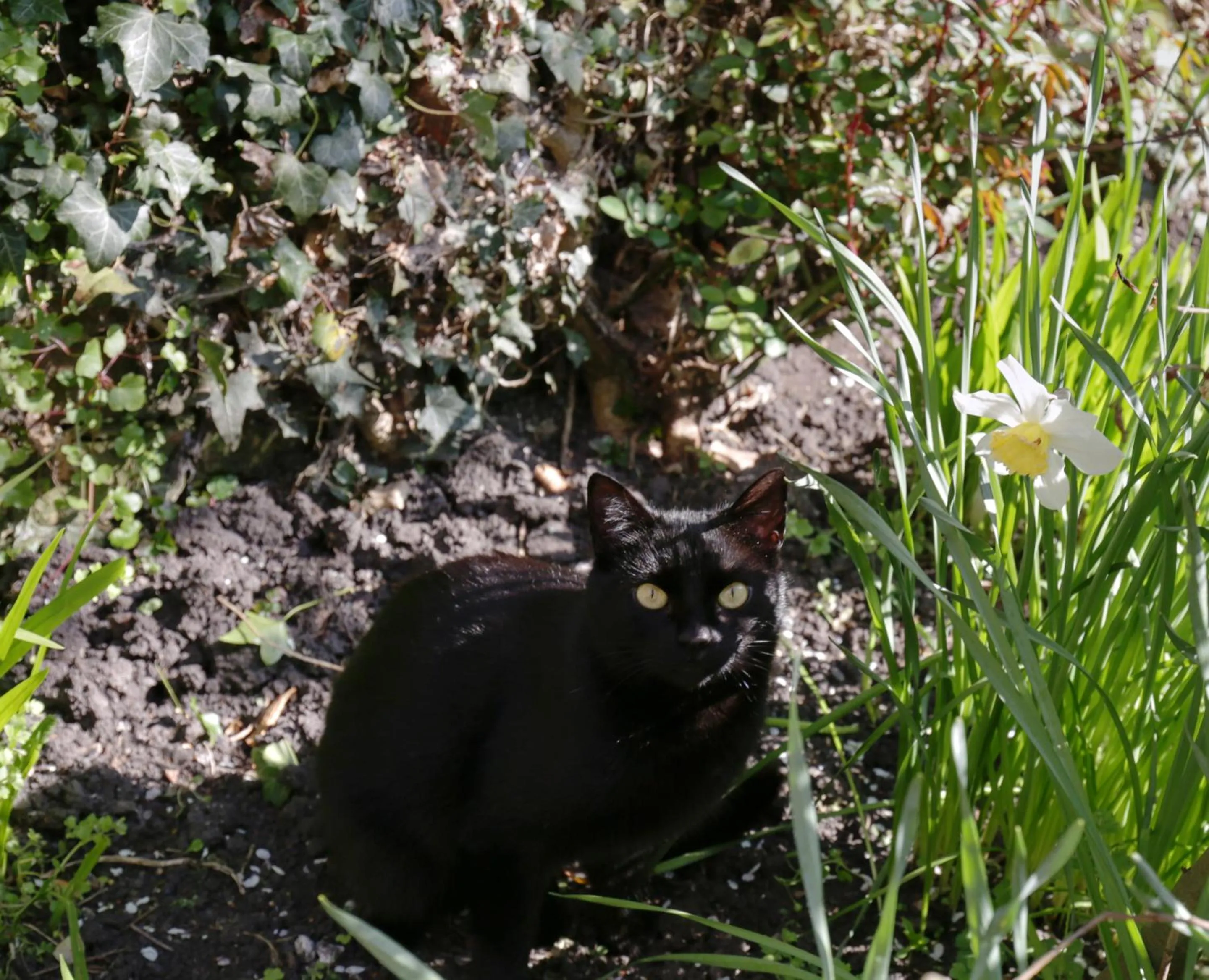 Property building in Fitzwarine House Whittington