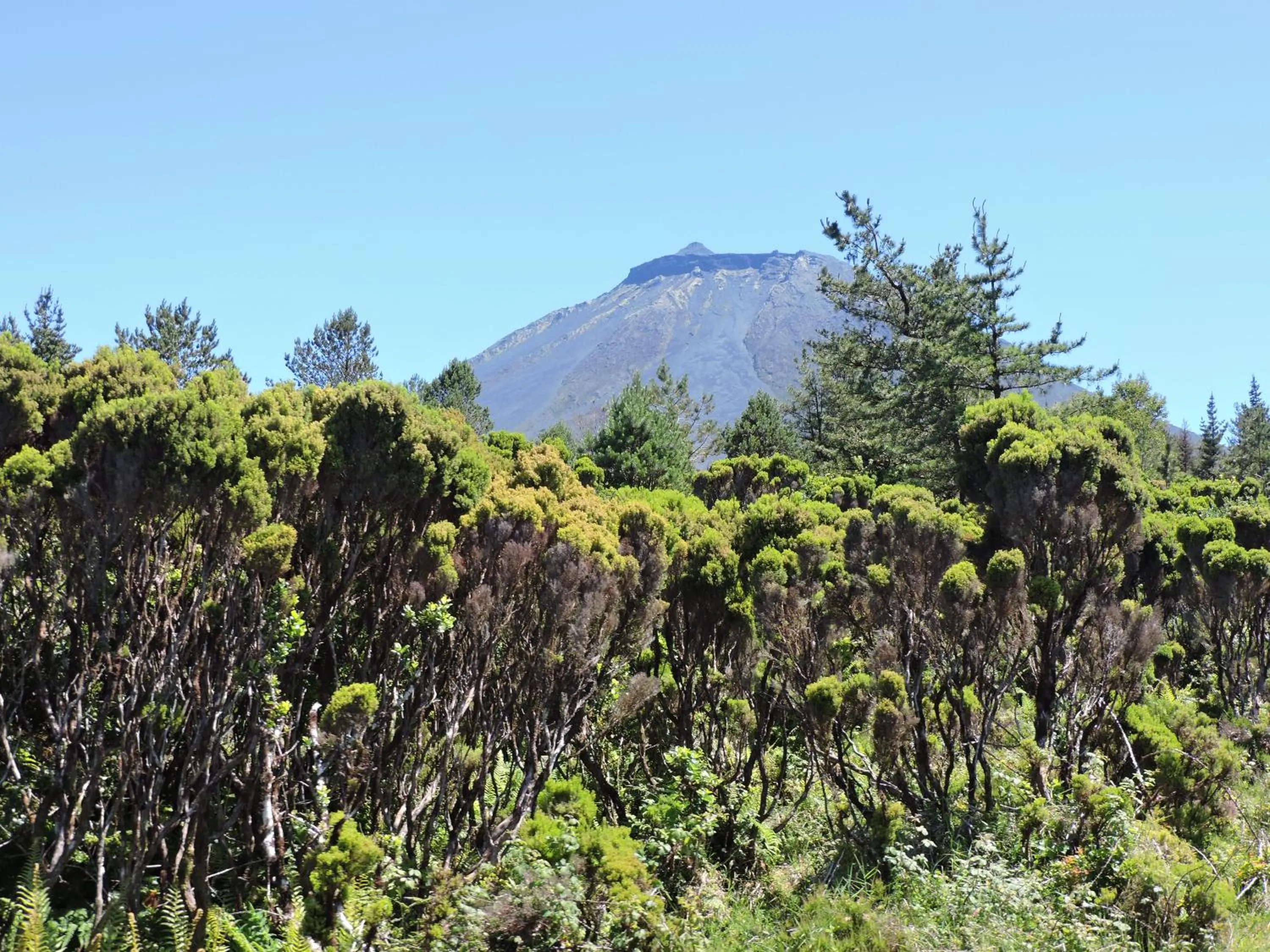 Mountain view in Vila Barca