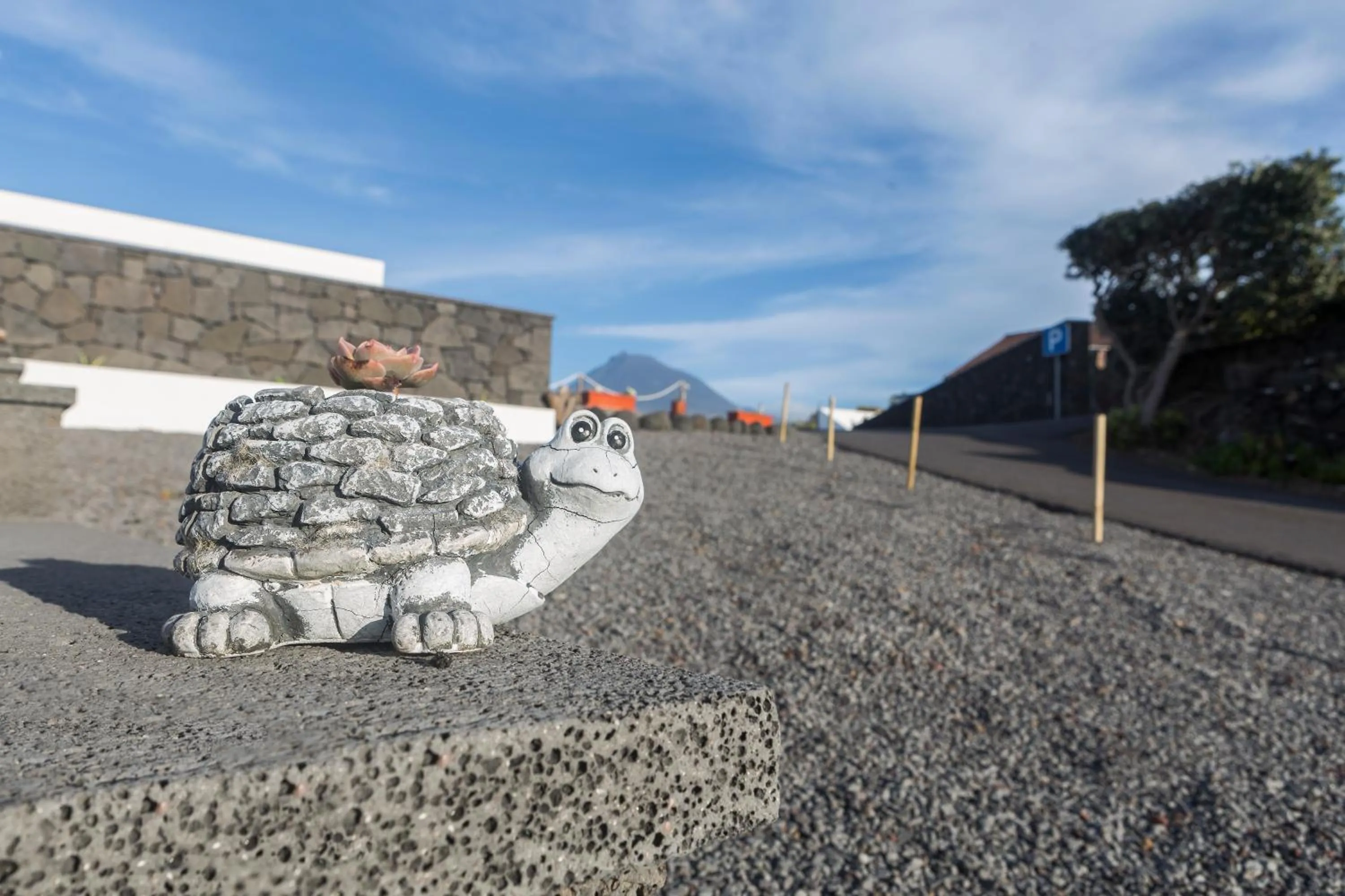 Spring in Vila Barca