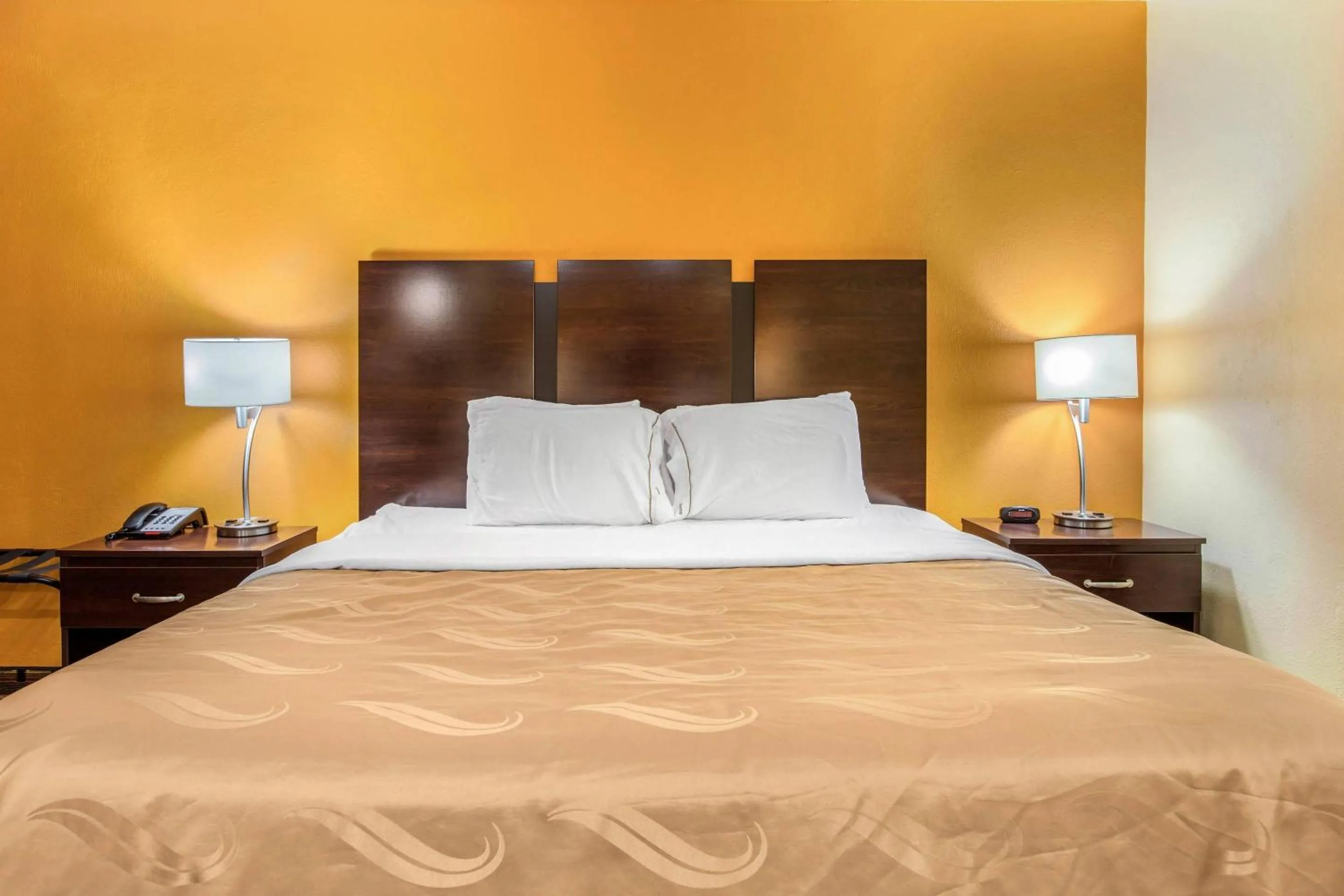 Bedroom, Bed in Quality Inn Grand Rapids Near Downtown